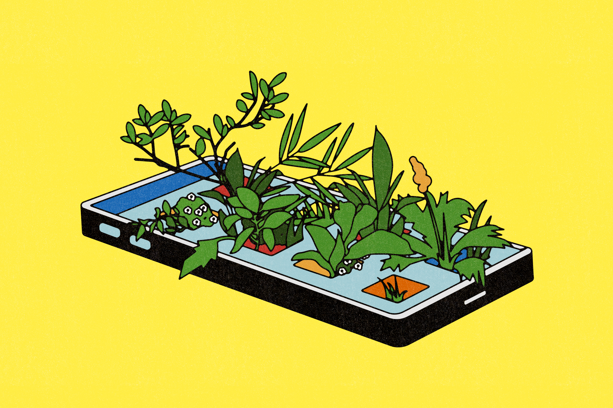 These apps and gadgets could help your houseplants and garden flourish - Vimarsana News