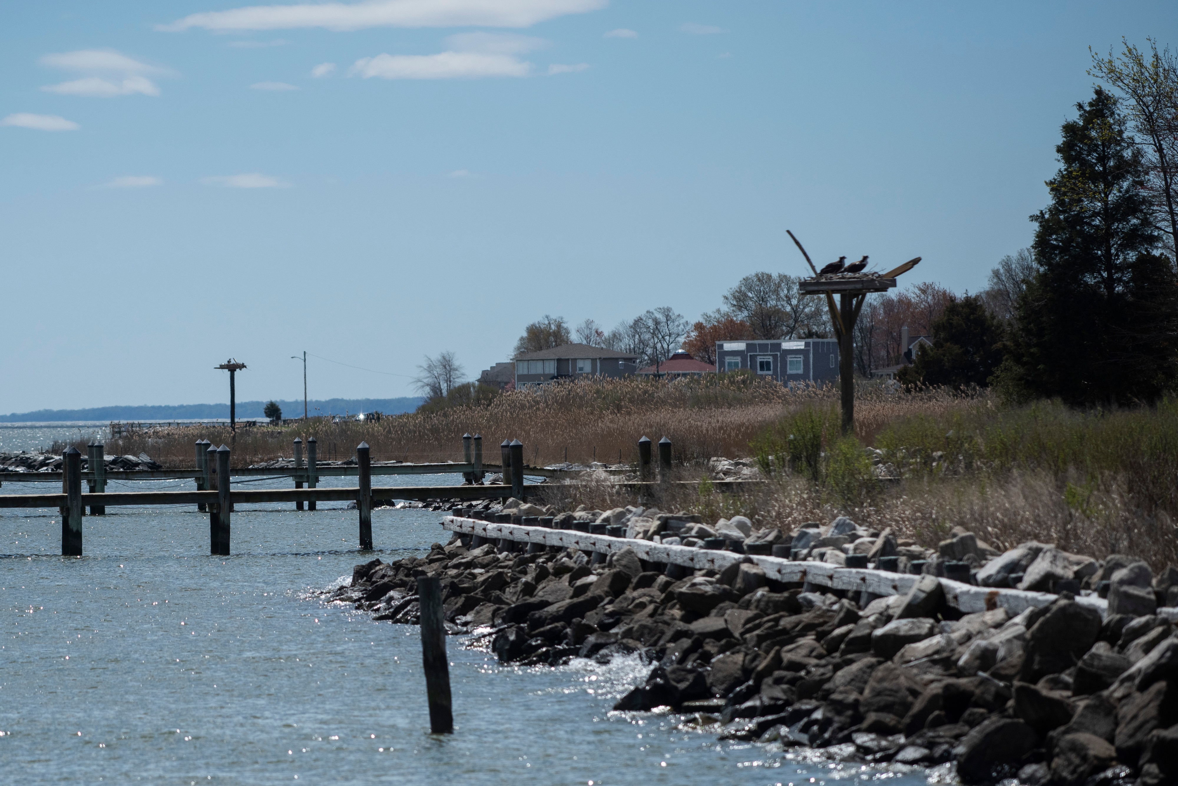 Maryland shifts Chesapeake Bay cleanup strategy - The Washington Post - Vimarsana News