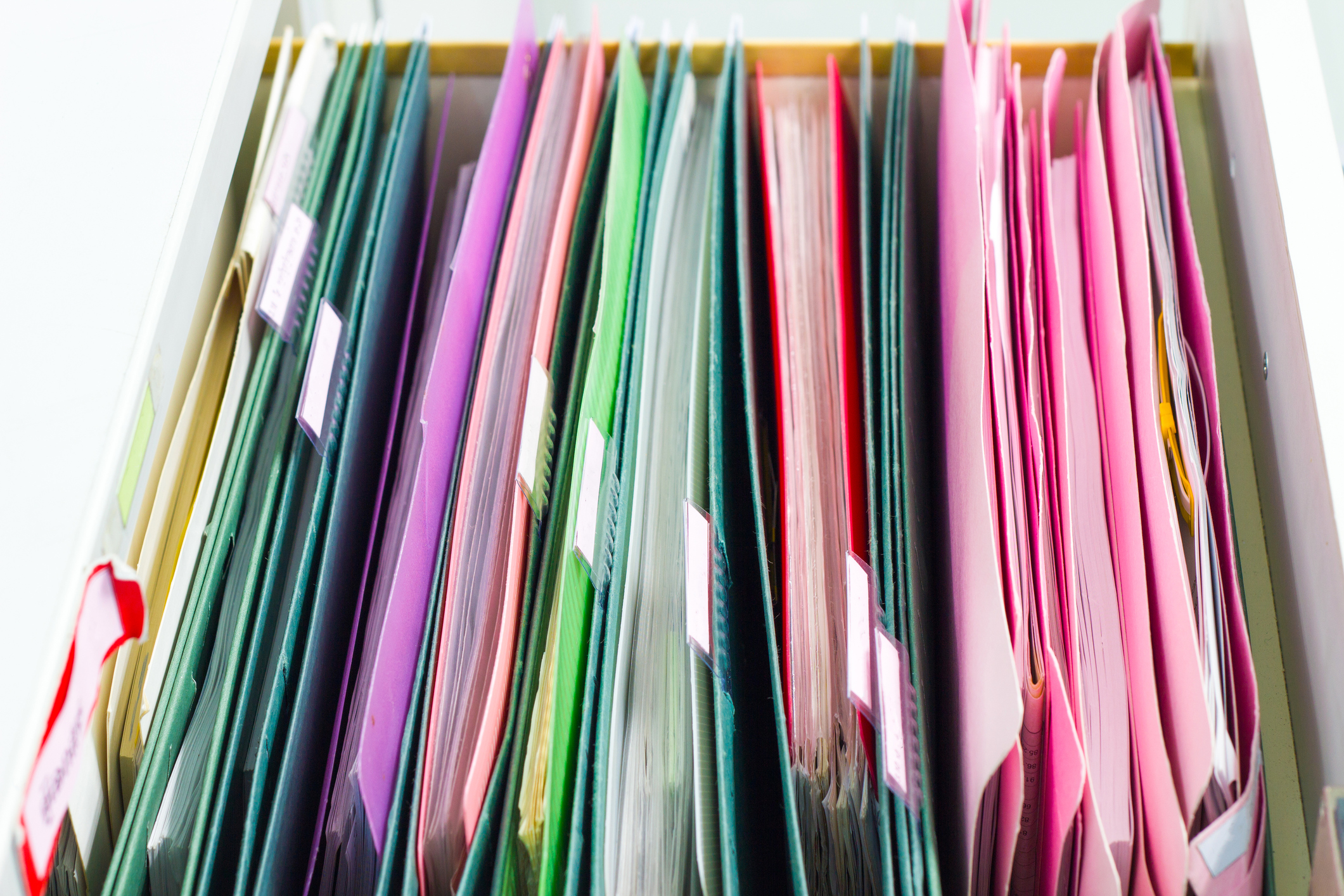 Google News Fan Latest