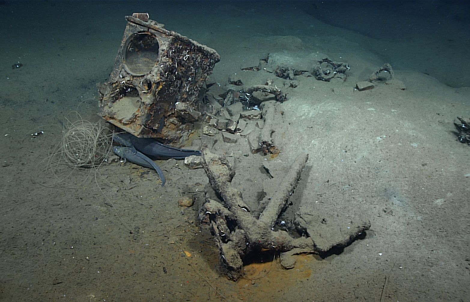 KEEL 「Migration Bootleg」 Wreck of the Gulf of Mexico's only lost whaling ship may