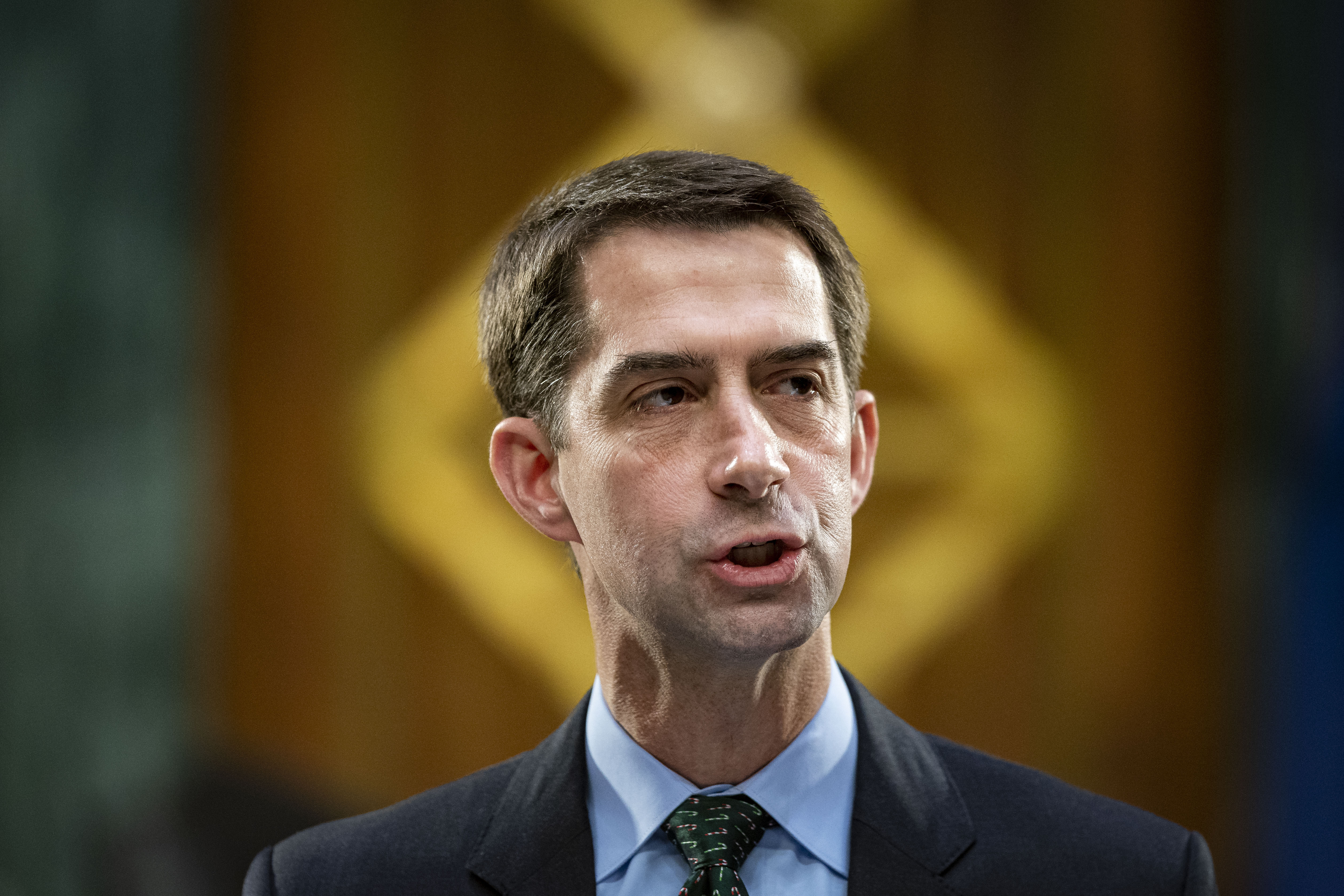 Opinion Tom Cotton S Attack On Neera Tanden Hints At The Future Of Trumpism The Washington Post