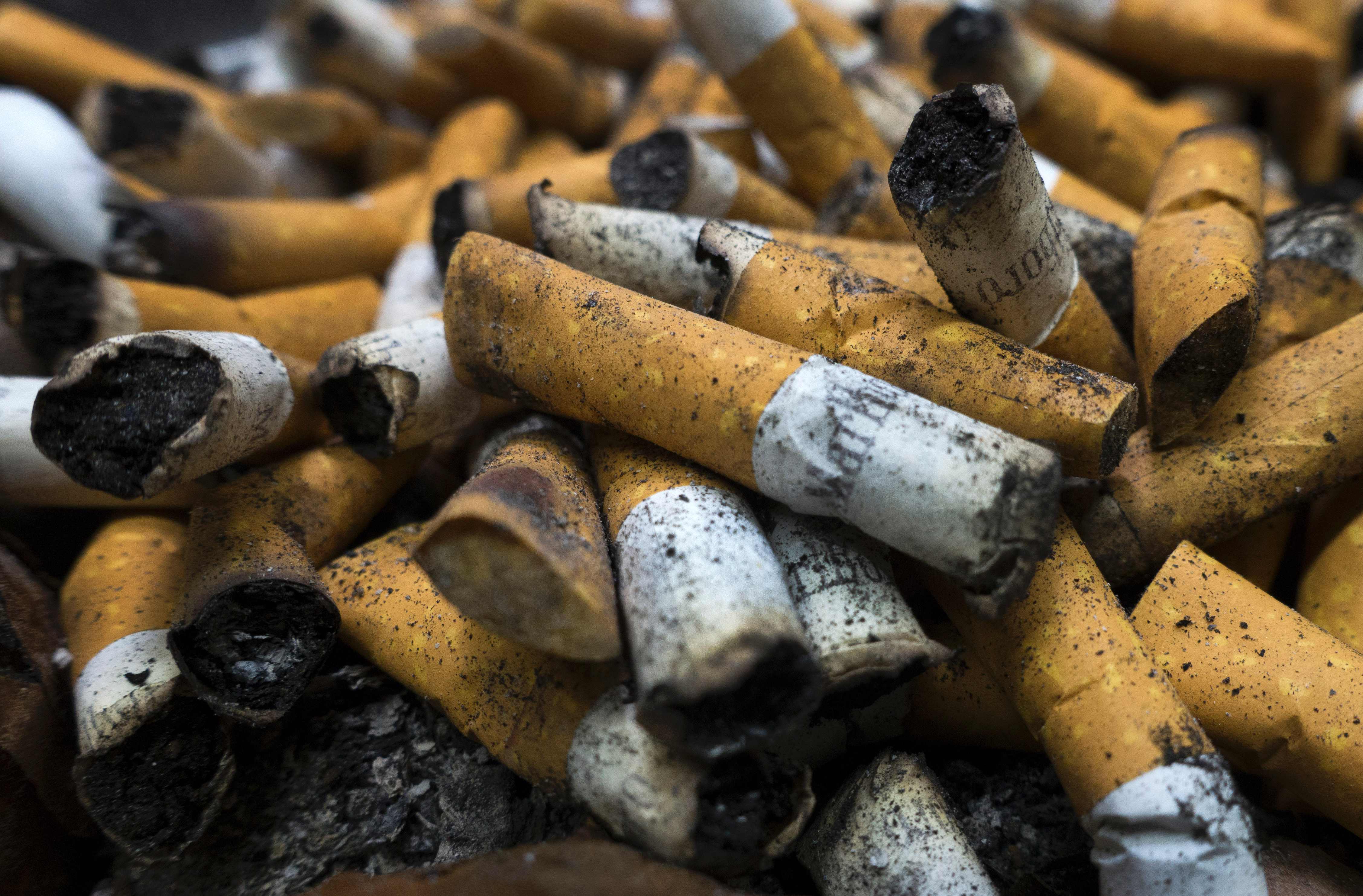 tobacco production in india About Tobacco Board Focus Sustainability: UPSC Current Affairs