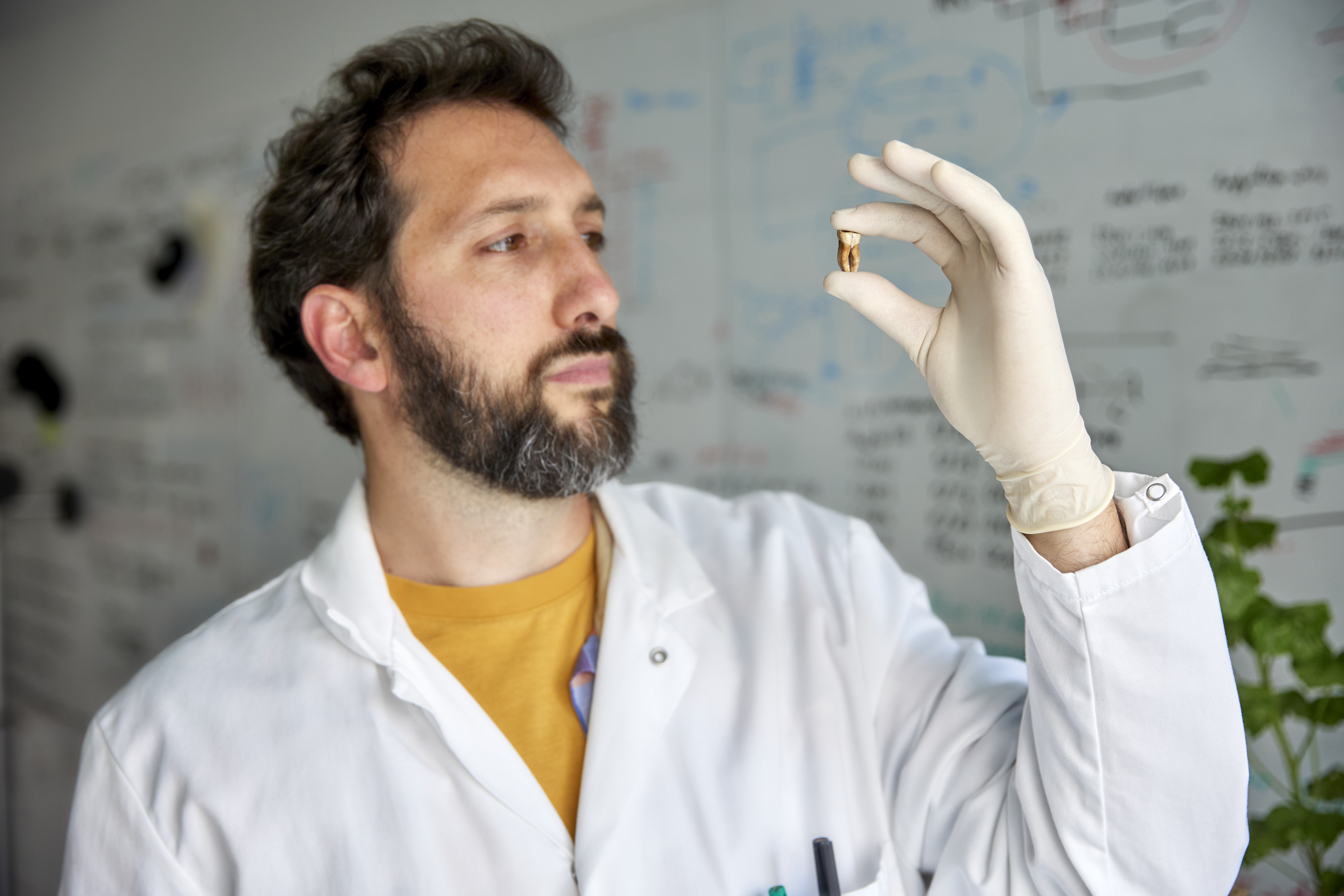 Napoleon's Army Retreating