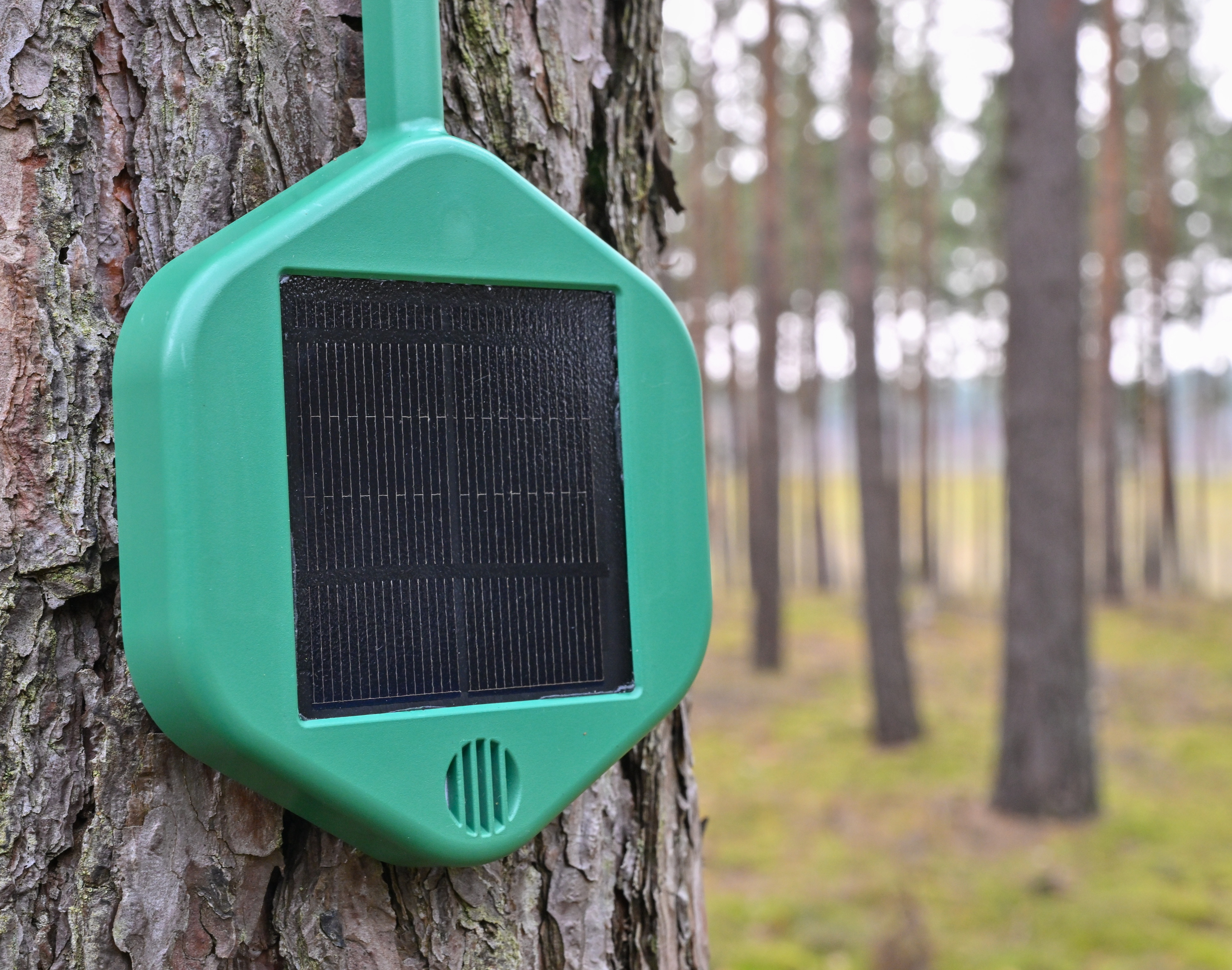 Could sensors help catch wildfires before they burn out of control? - Vimarsana News