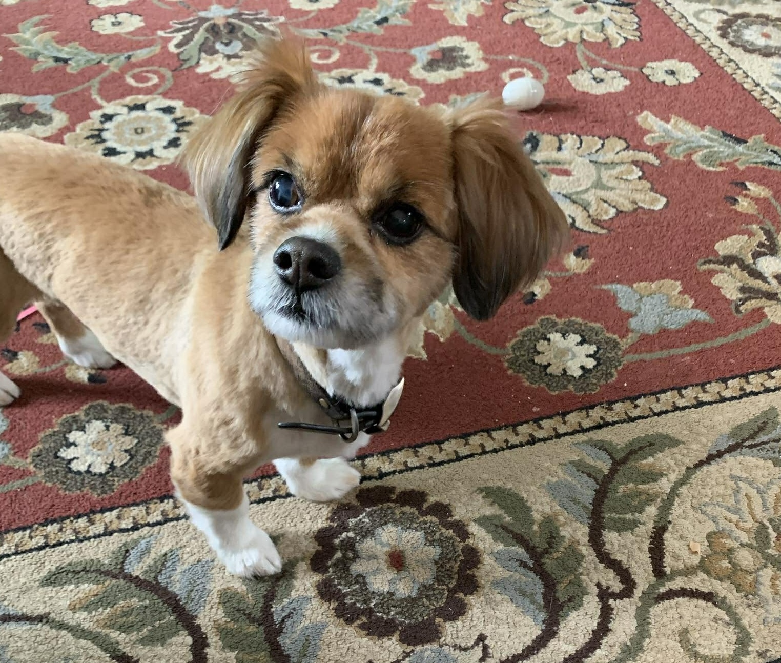 An Ohio house was on fire. Two strangers ran in to rescue a tiny