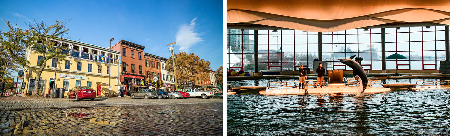 Fells Point Fall Fells point attractions | Mapsru.com