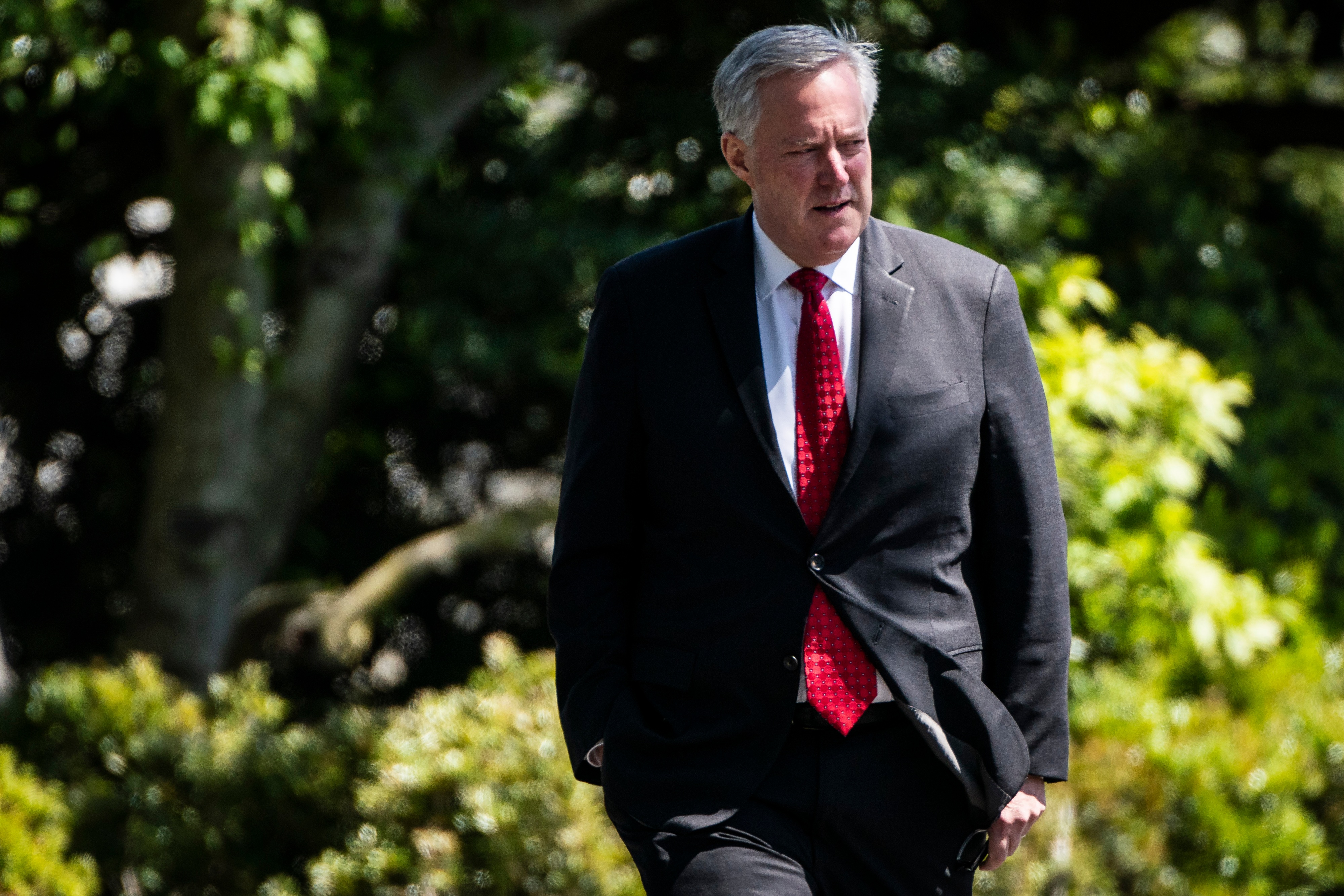 Mark Meadows's lawyer son shot down Georgia 2020 election fraud claims - Vimarsana News