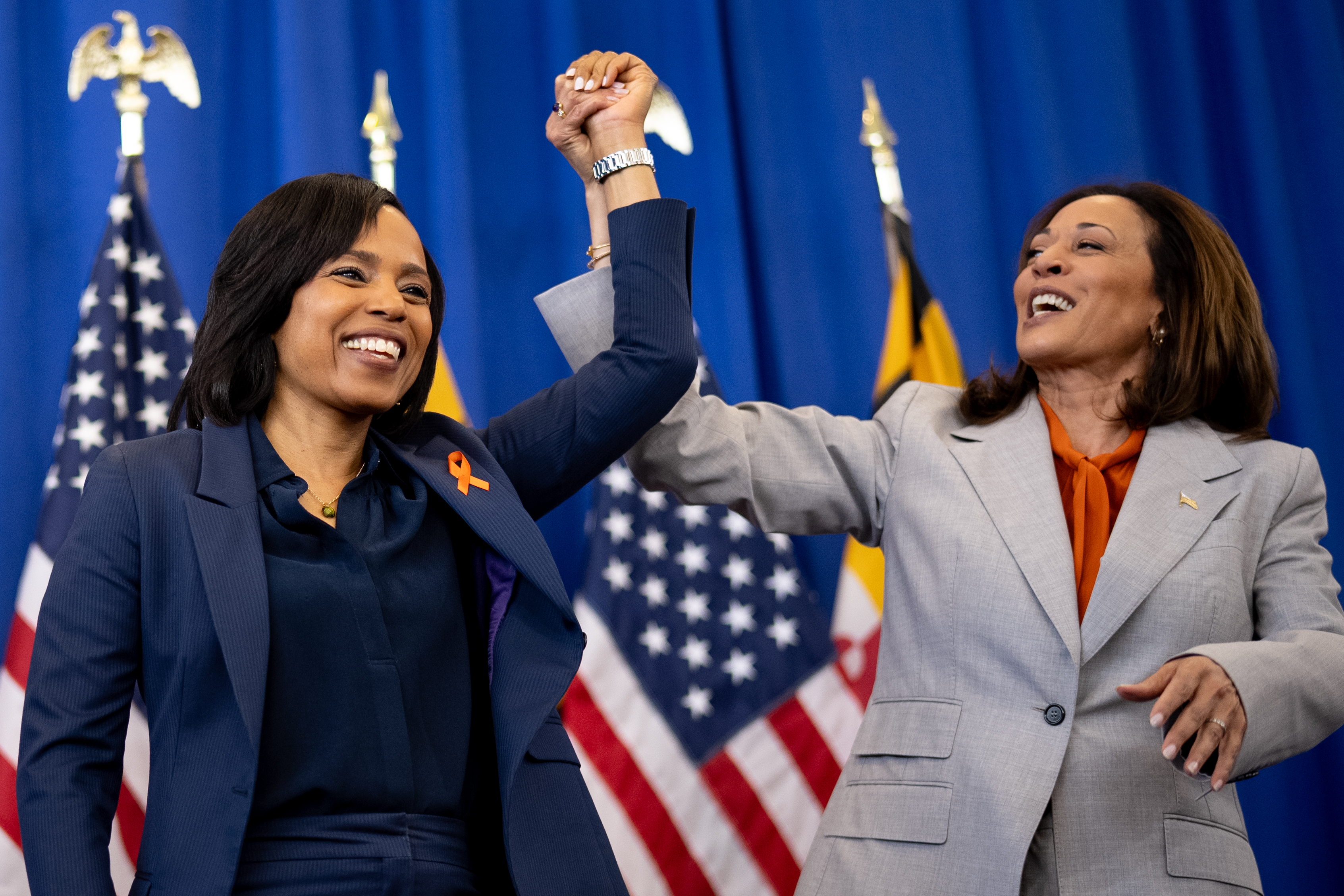 Harris and other powerful Democrats rally for must-win Md. Senate seat - Vimarsana News