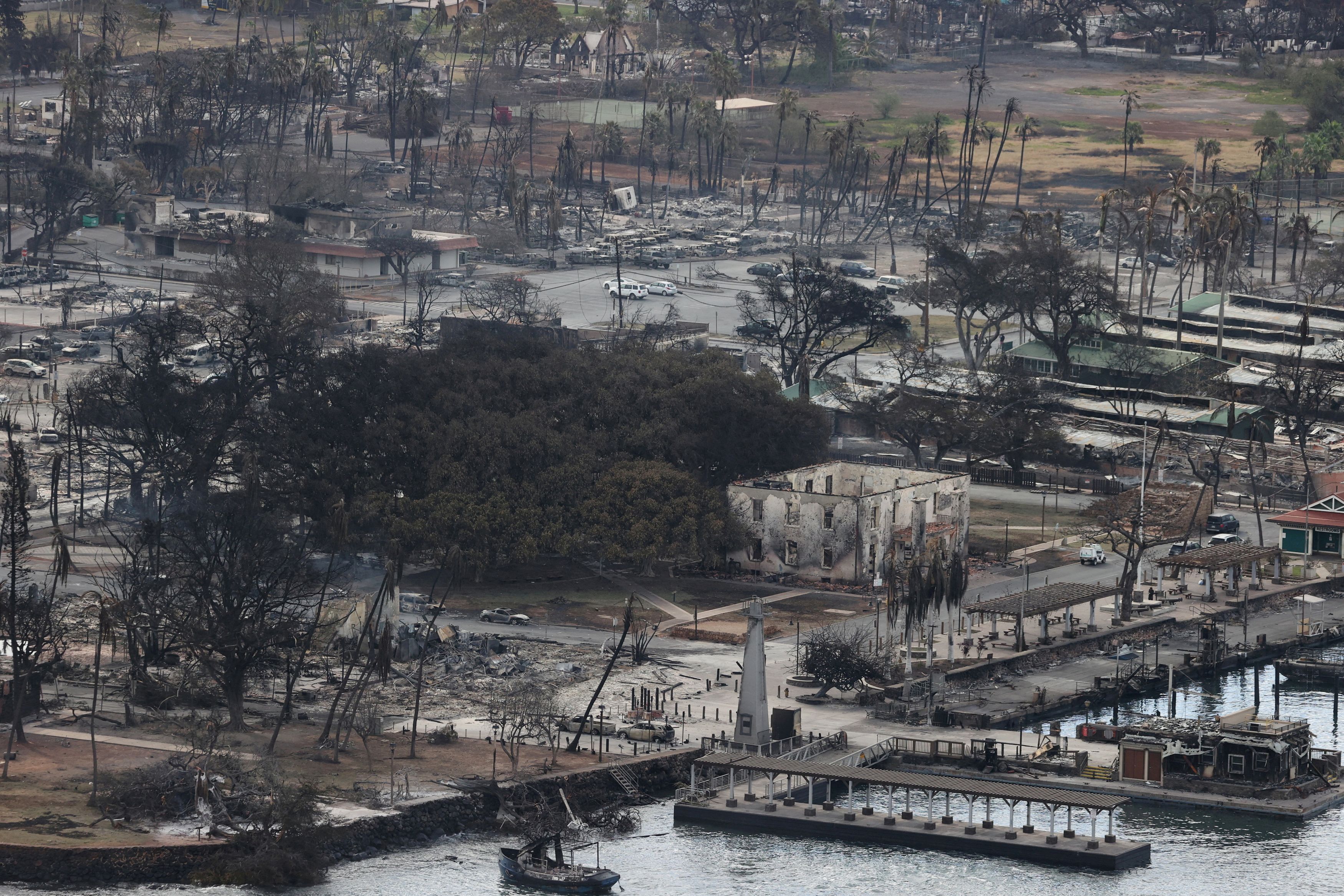 Opinion | Today's Opinions: After Maui's fires, the view from a neighbor island - Vimarsana News