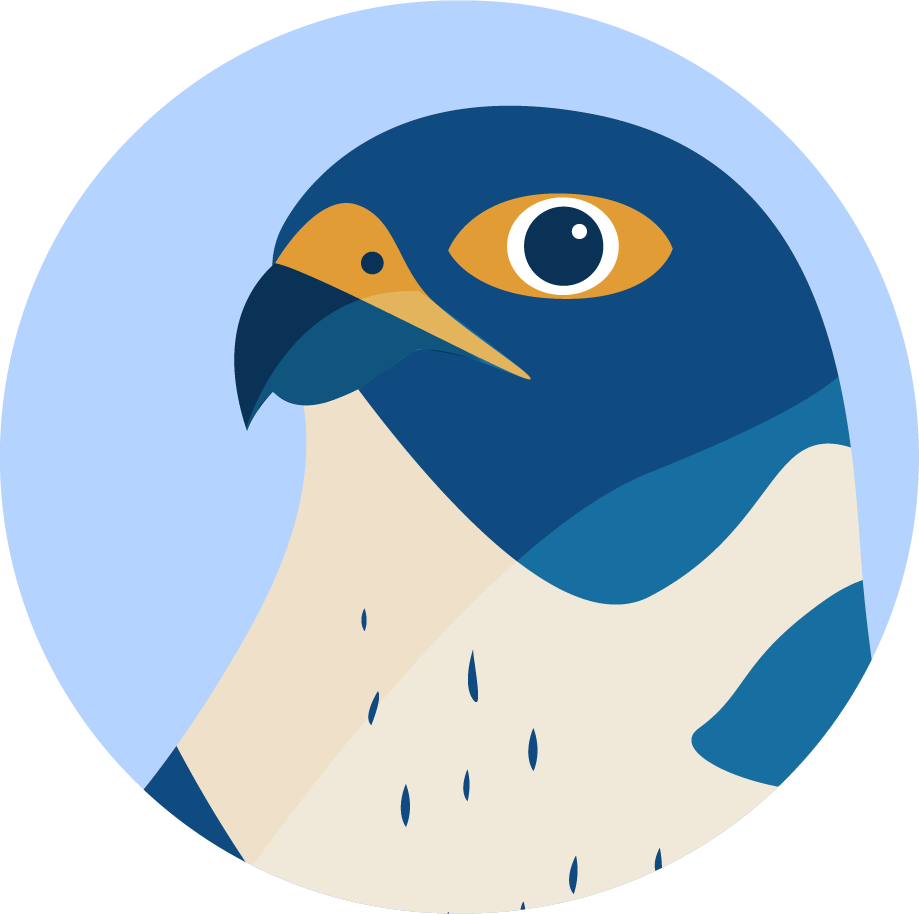 Falcon Bird Racing Who would win gold in the bird Olympics? - Washington Post