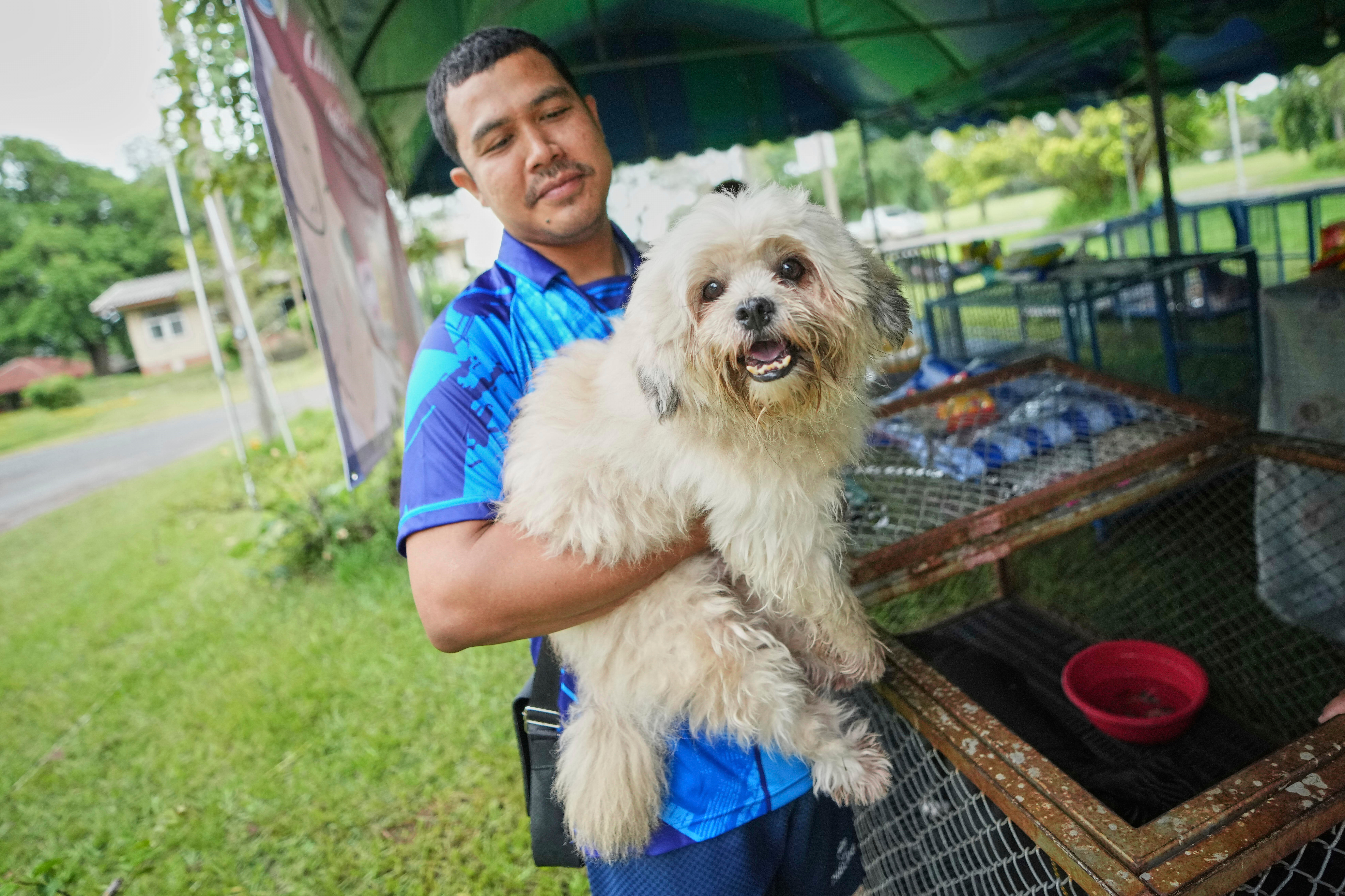 期間限定価格 辰巳蒸溜所 アルケミエ 犬啼 YES DOG Cambodia アルケミエ 犬啼 45度 500ml – 勝浦酒店オンラインストア