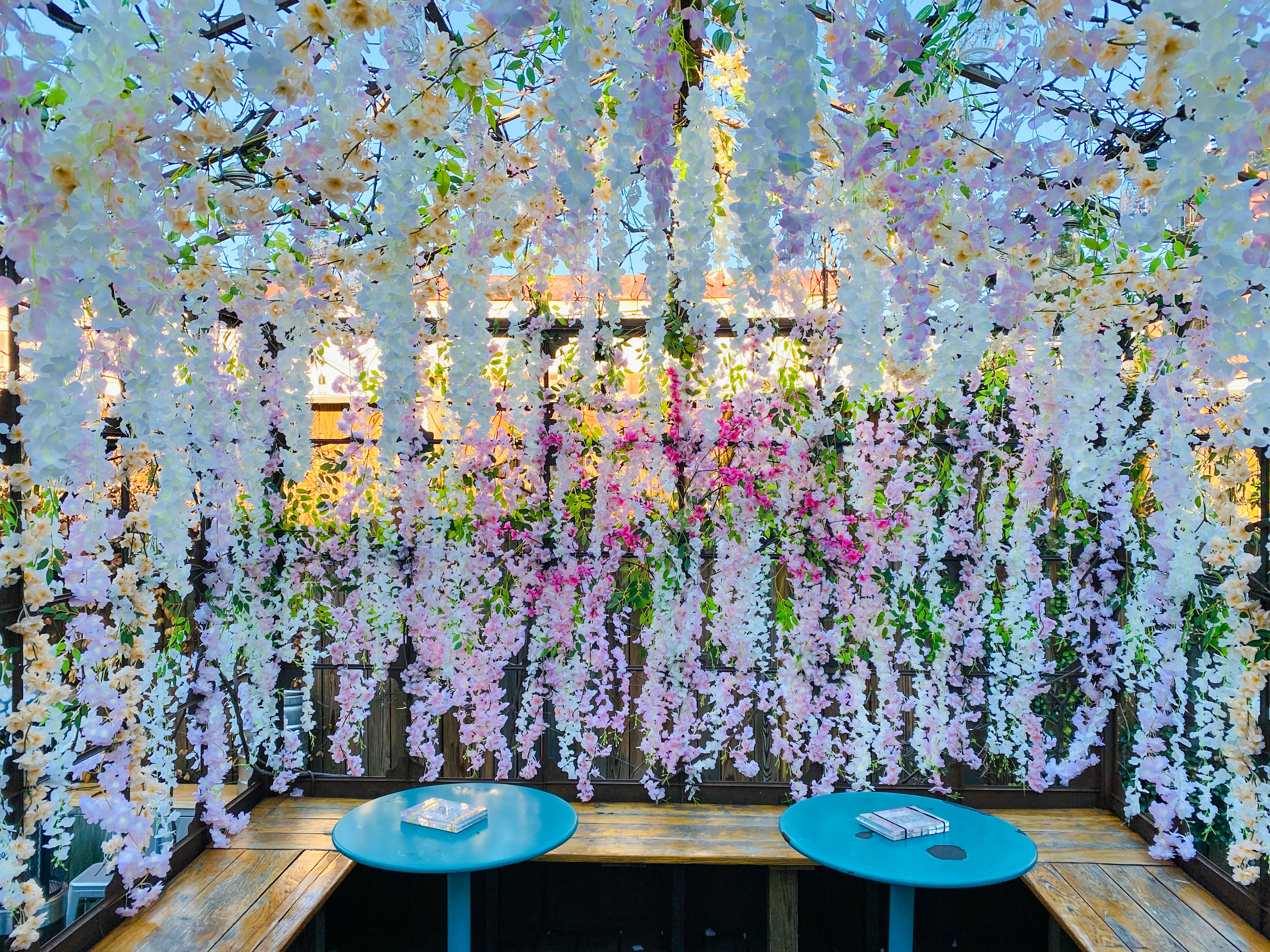The 6 D.C. bars with the best cherry blossom decor - The Washington Post - Vimarsana News