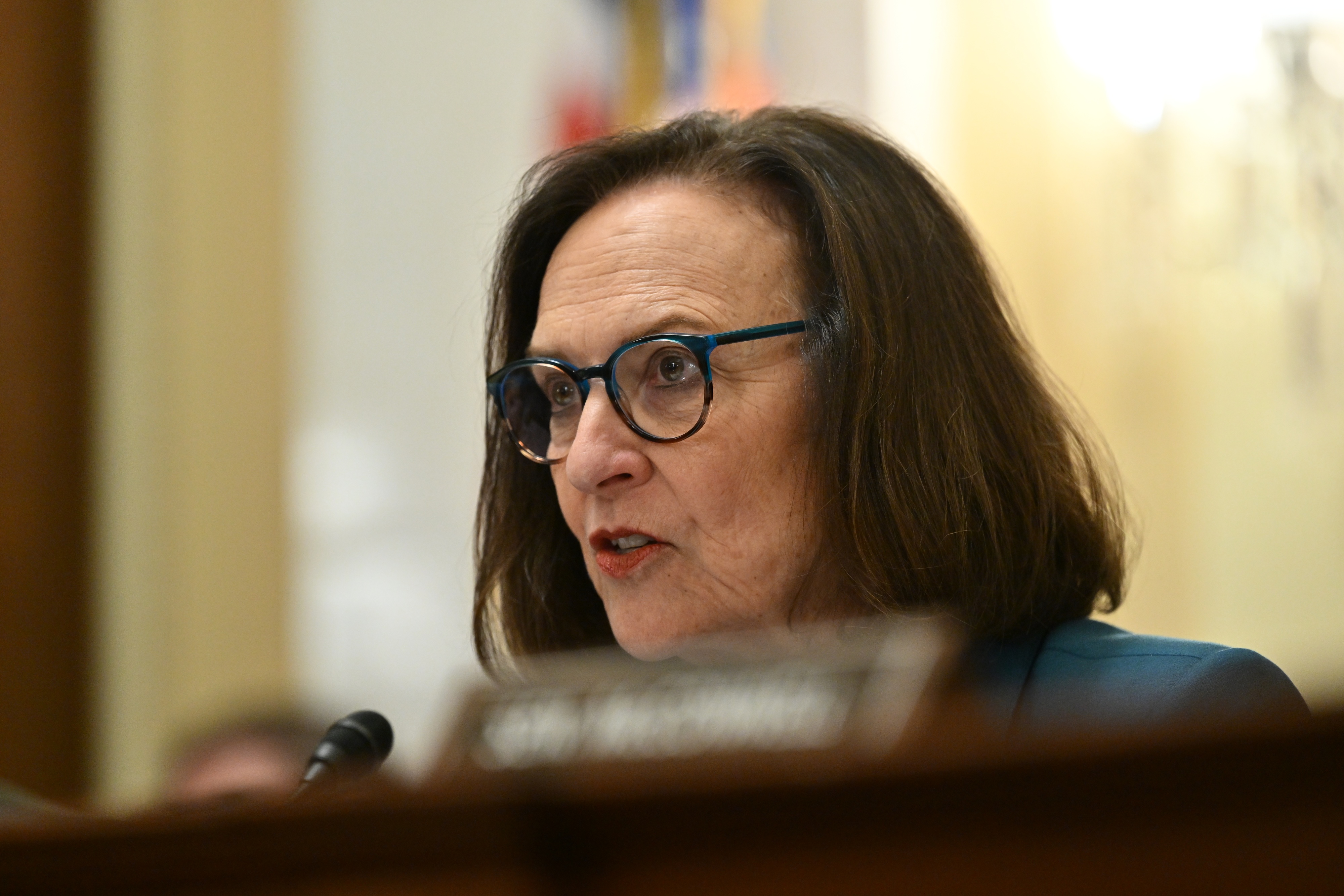 Republicans who voted for Ukraine still thriving in primaries - Vimarsana News