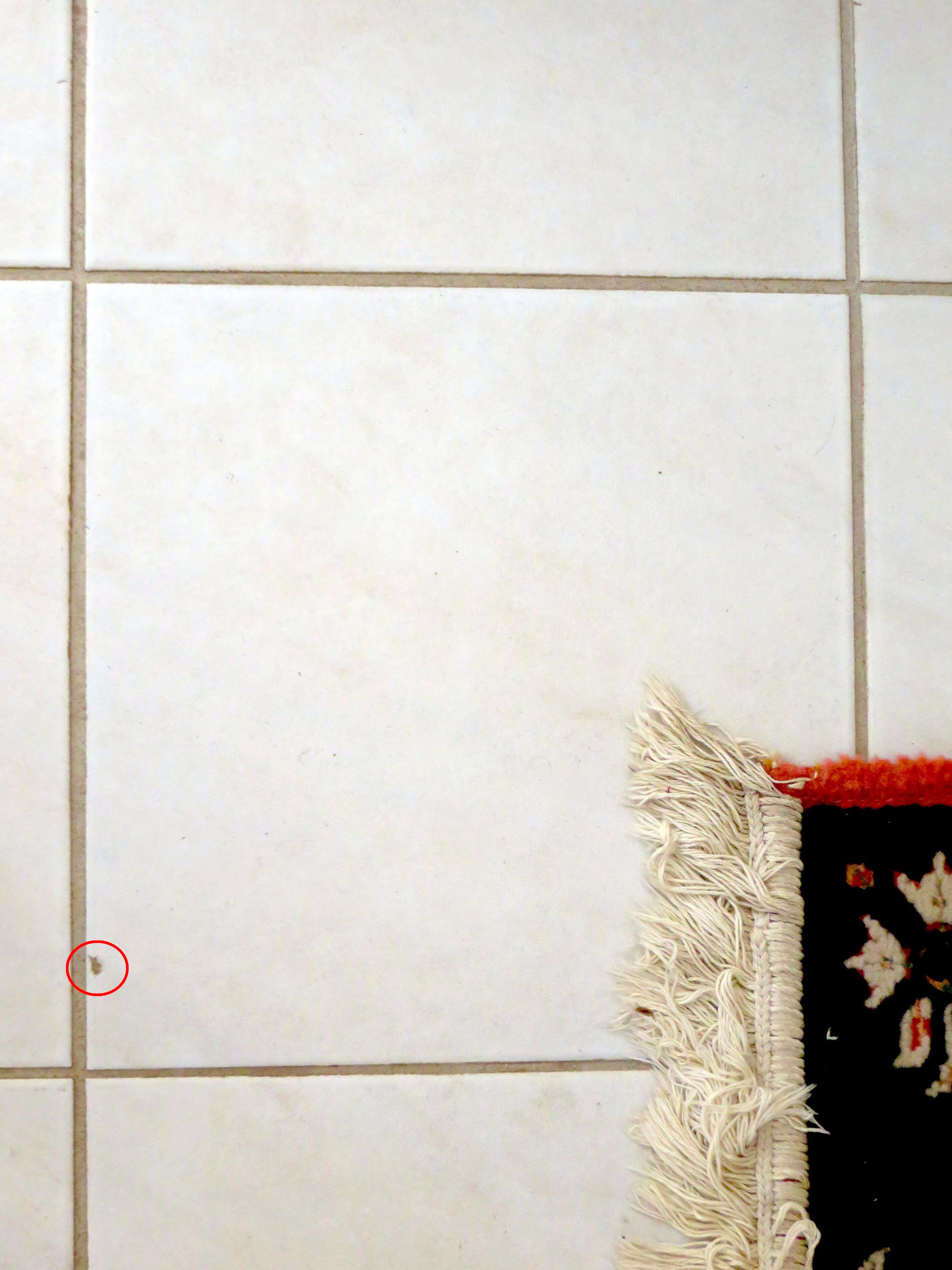 How To Repair A Chipped Ceramic Tile The Washington Post