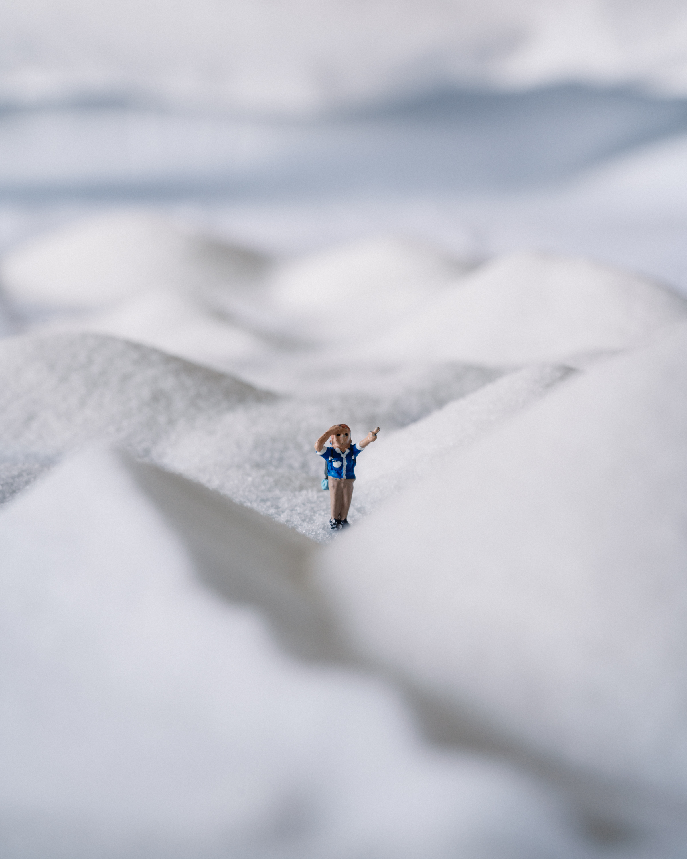erin sullivan erin outdoors on Photographers Are Bringing Nature Inside During Coronavirus With Ourgreatindoors The Washington Post