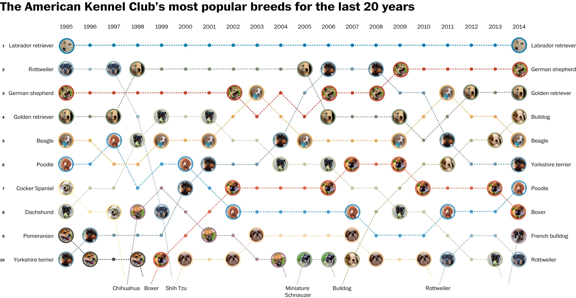 dog breeds ranked by popularity