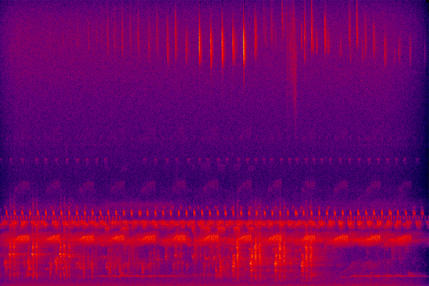 wolf howl spectrogram visualization with AI analysis overlay showing frequency patterns in blue and orange