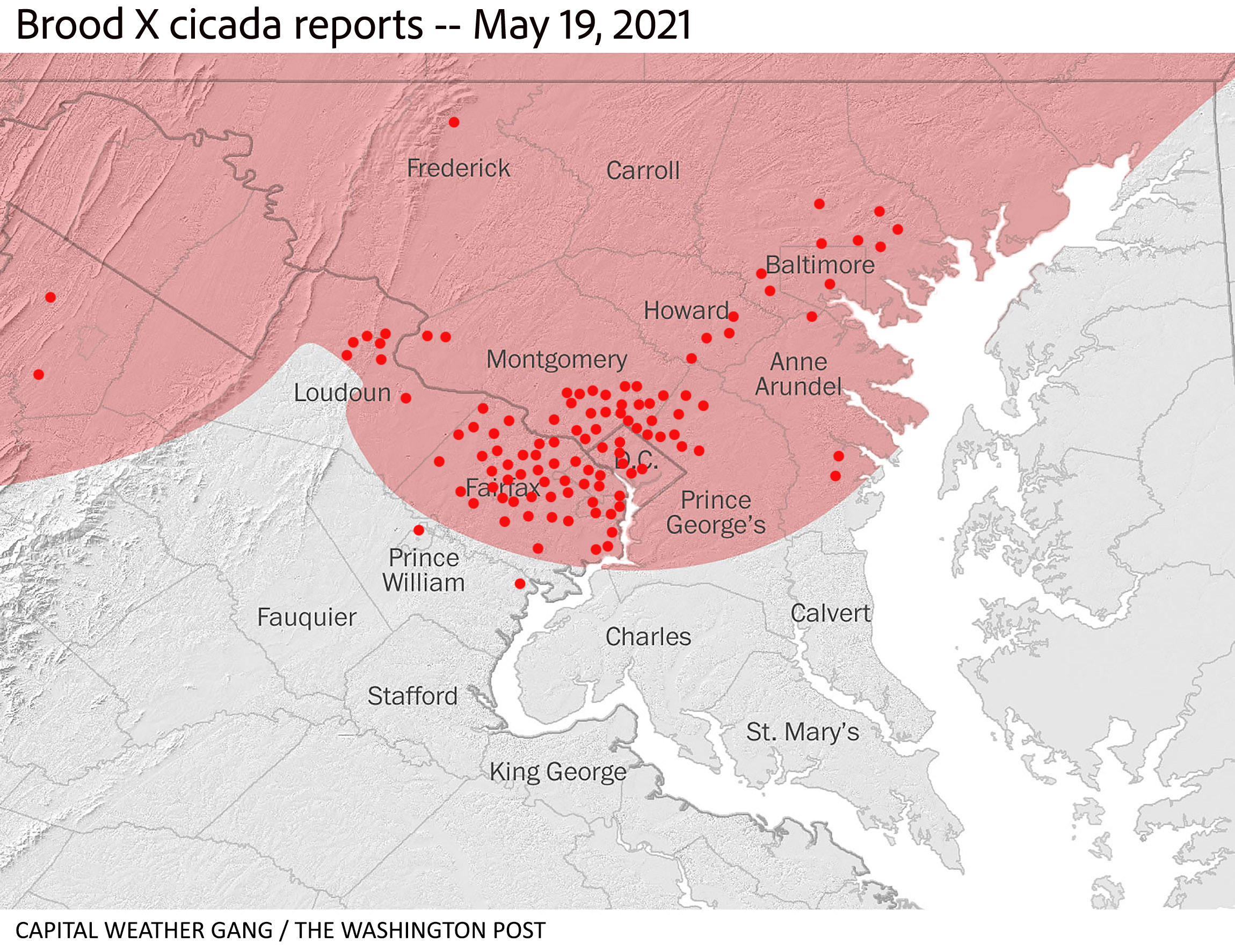 Cicadas 2021 Map 17 Year Cicadas Right On Time Help Scientists Map 