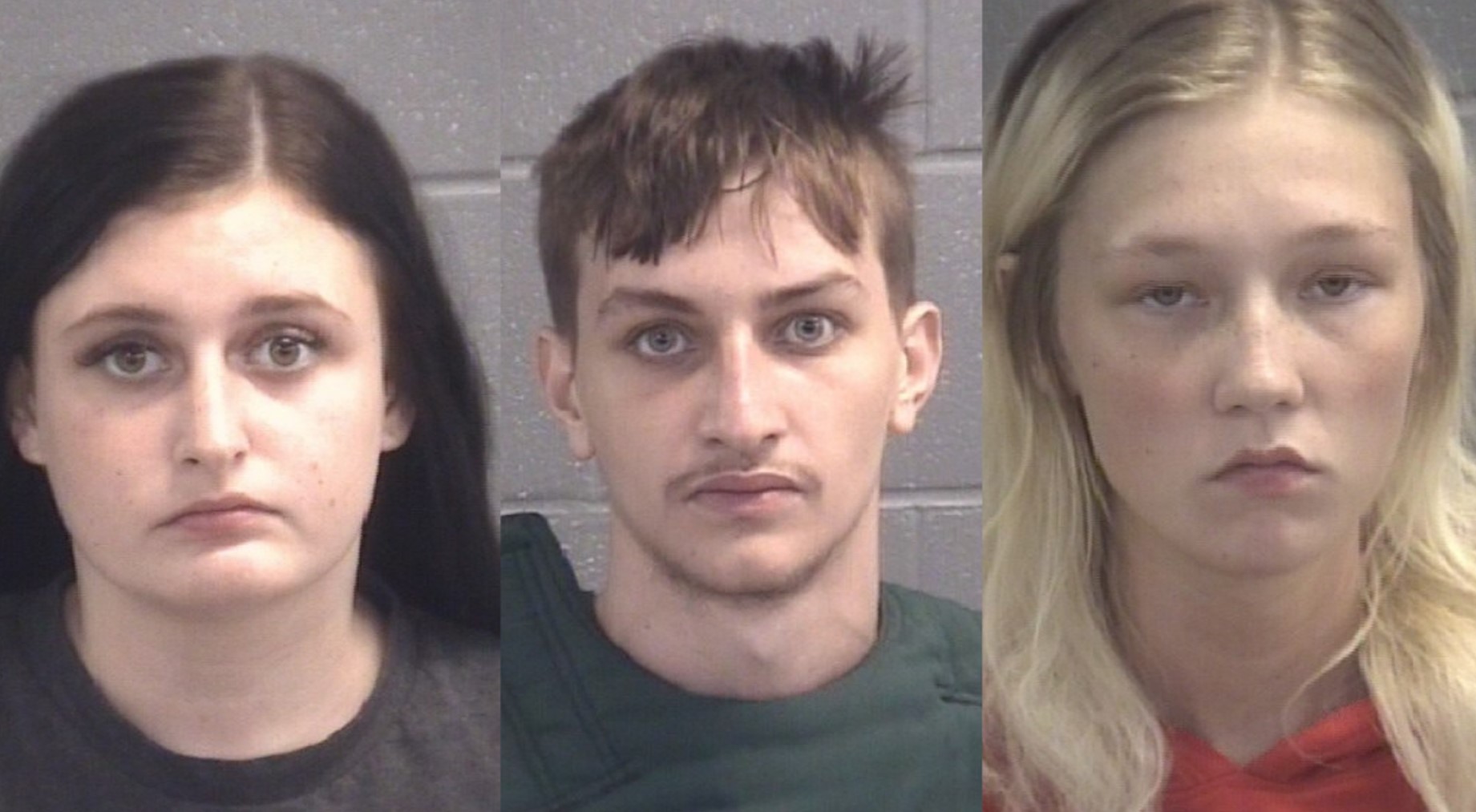 Georgia teens charged with murder after house egging over 'lovers' quarrel,' police say - Vimarsana News