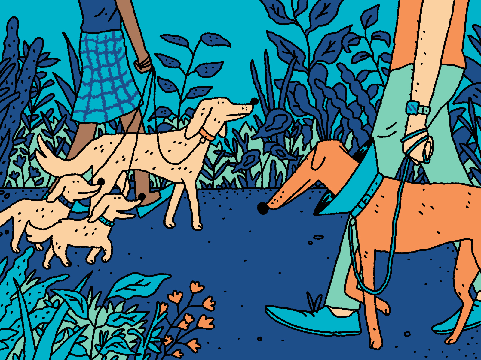 Is Neutering Dogs Illegal In Norway