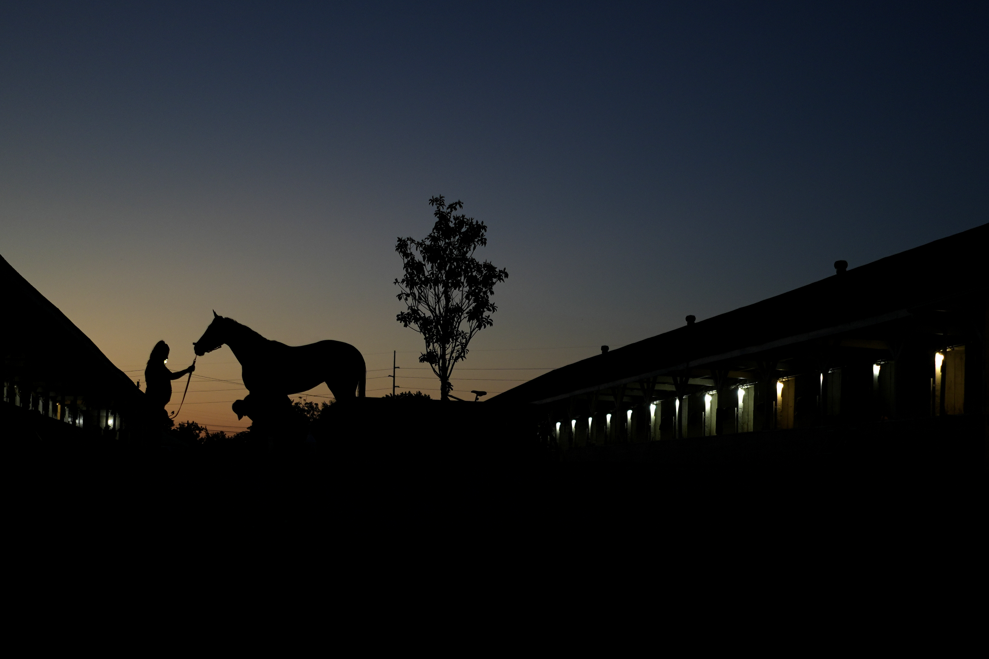 Betting Trifectas and Superfectas in 2023 Southwest Stakes America's