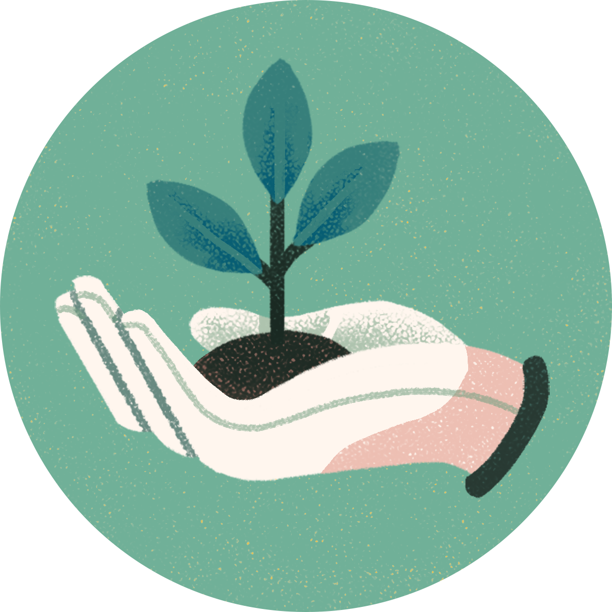 How to grow daffodils The Washington Post