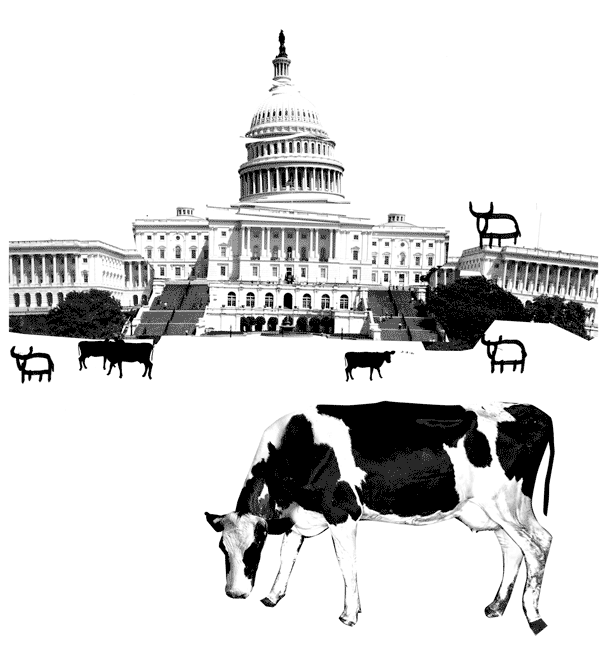Are There More Cows Than Humans In Wisconsin