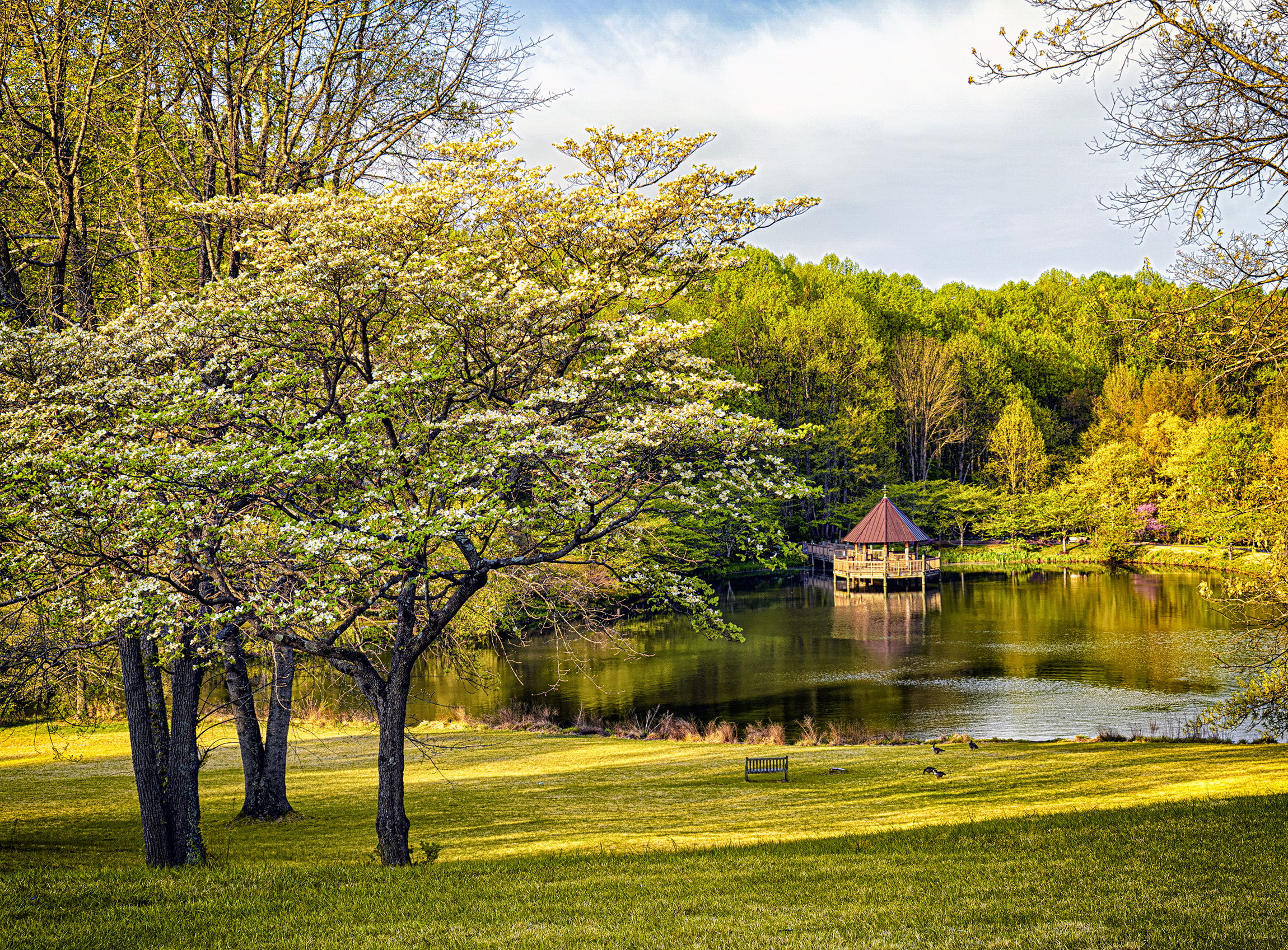 Meadowlark Botanical Gardens