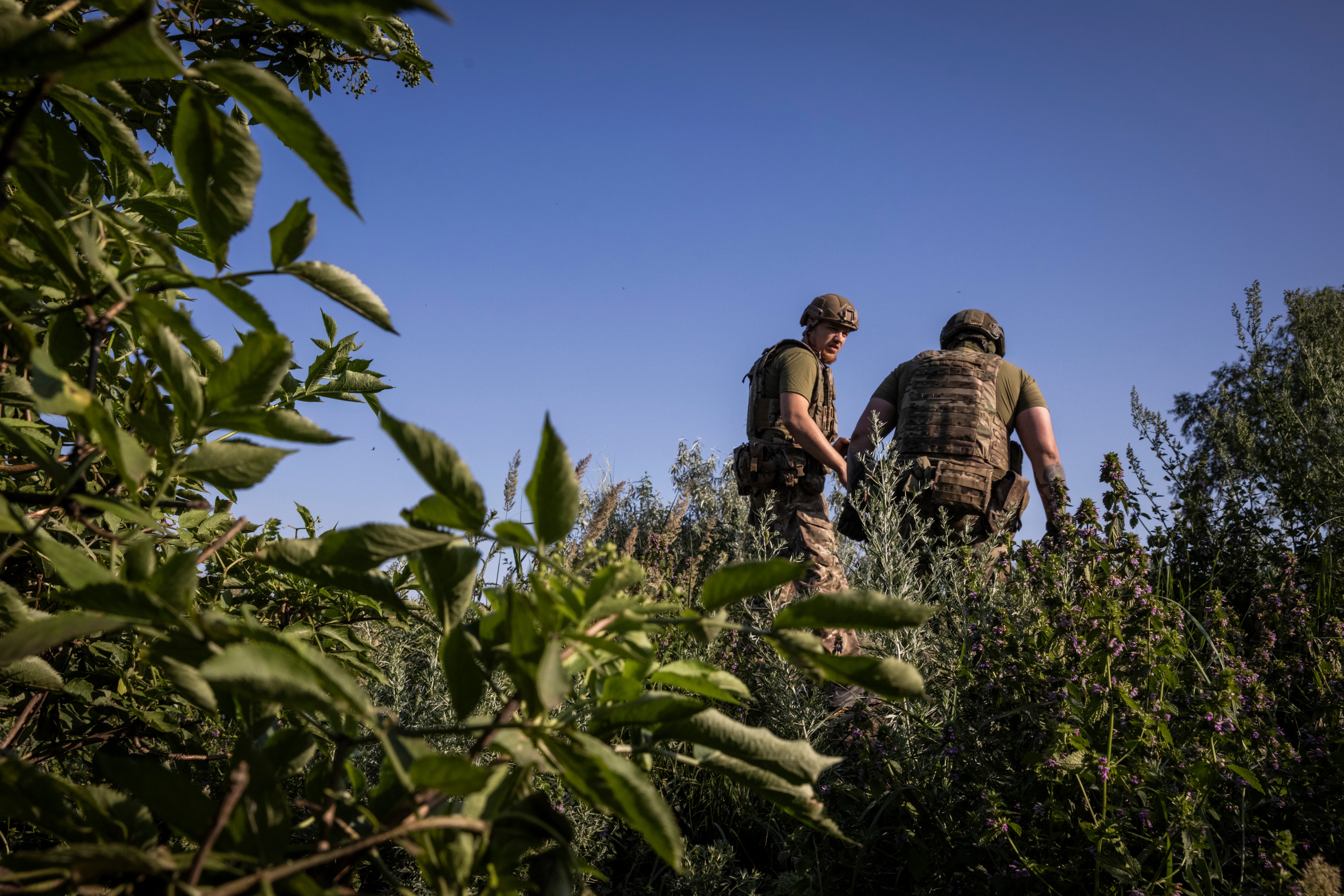 Don't expect quick results from Ukraine's counteroffensive - Vimarsana News
