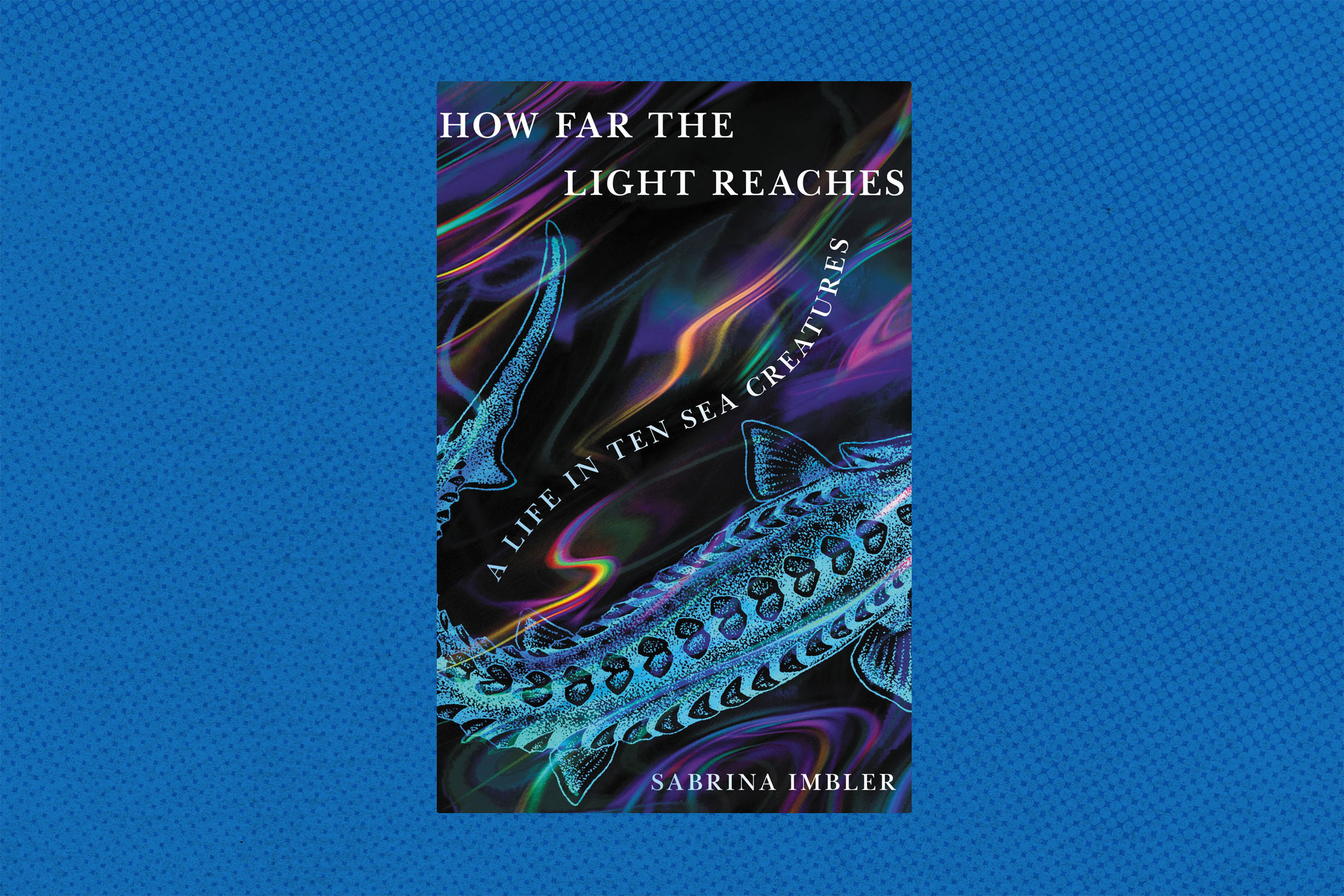 How Far the Light Reaches by Sabrina Imbler book review The