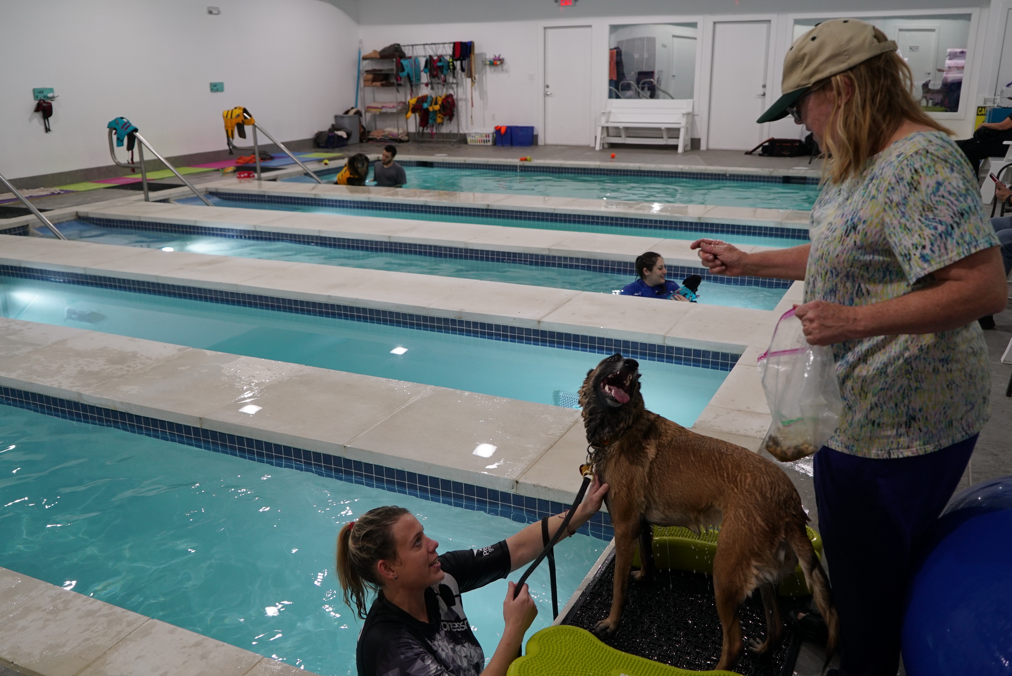 wye valley dog friendly accommodation