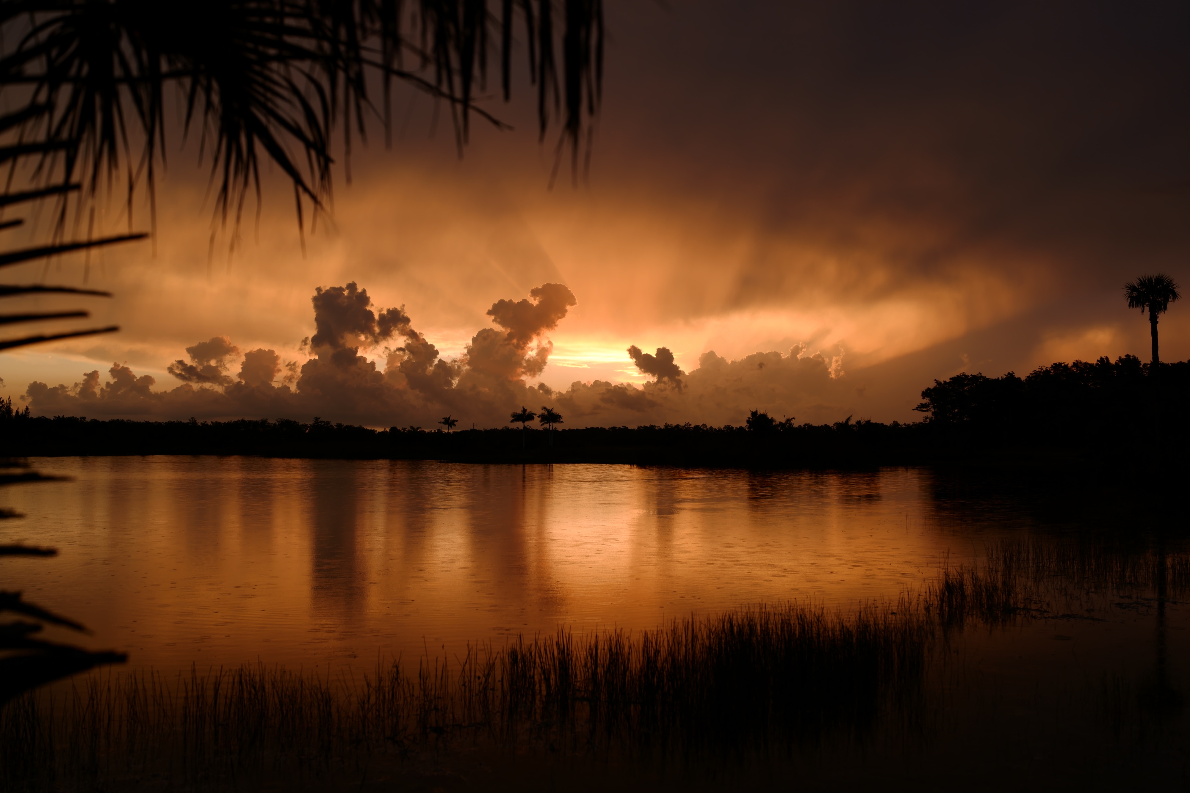 A local's guide to Everglades: Best time to visit, where to stay, what to do - Vimarsana News