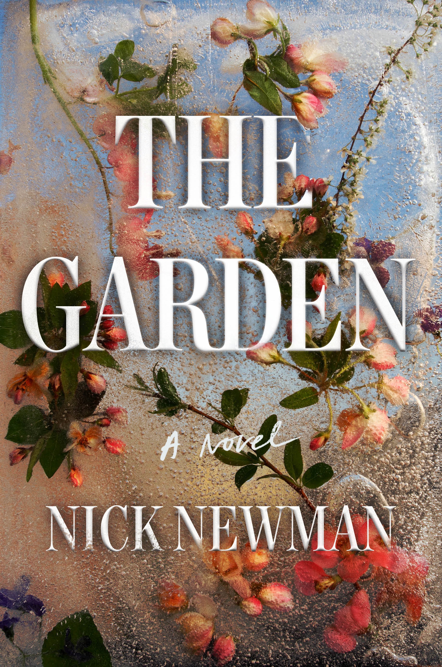 Book review: 'The Garden' by Nick Newman - The Washington Post