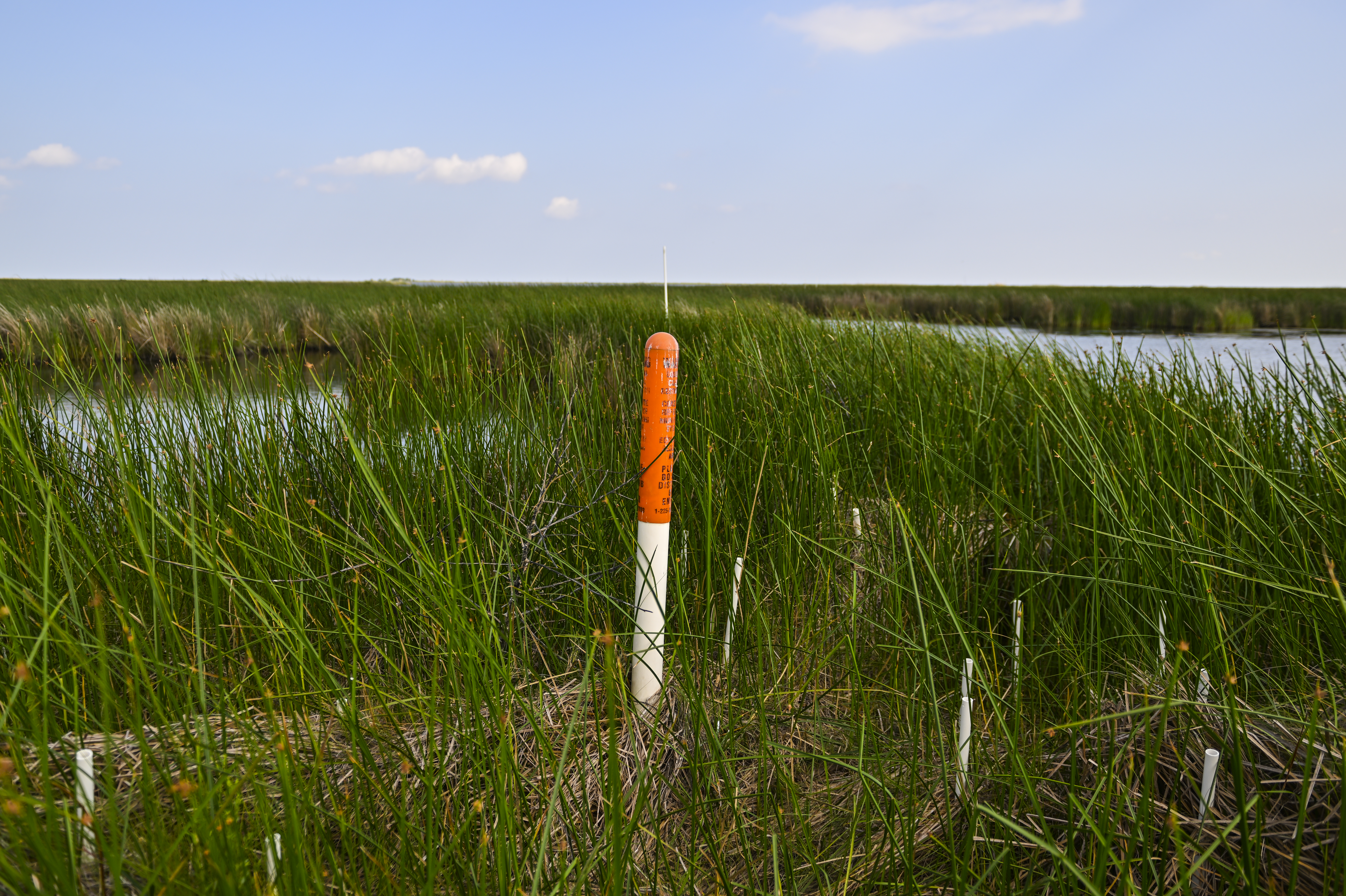 Six reasons why wetlands are vital every month of the year. | Growing  Returns, image size:7505x4996