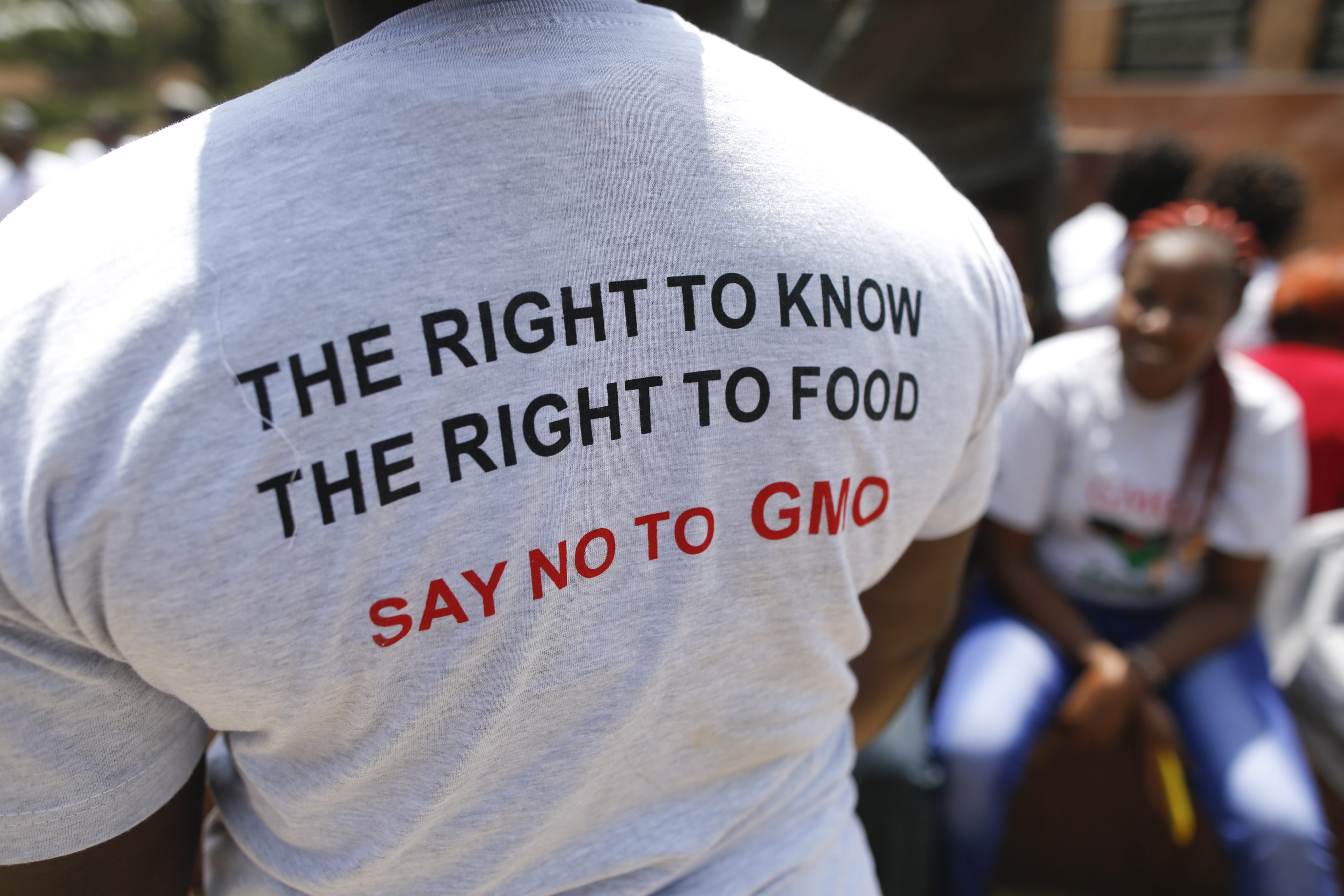 gmo shirt