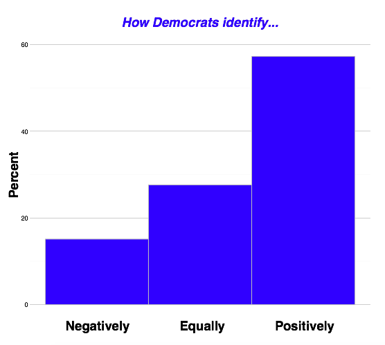 Do Democrats identify with their own party — or against the other one?
