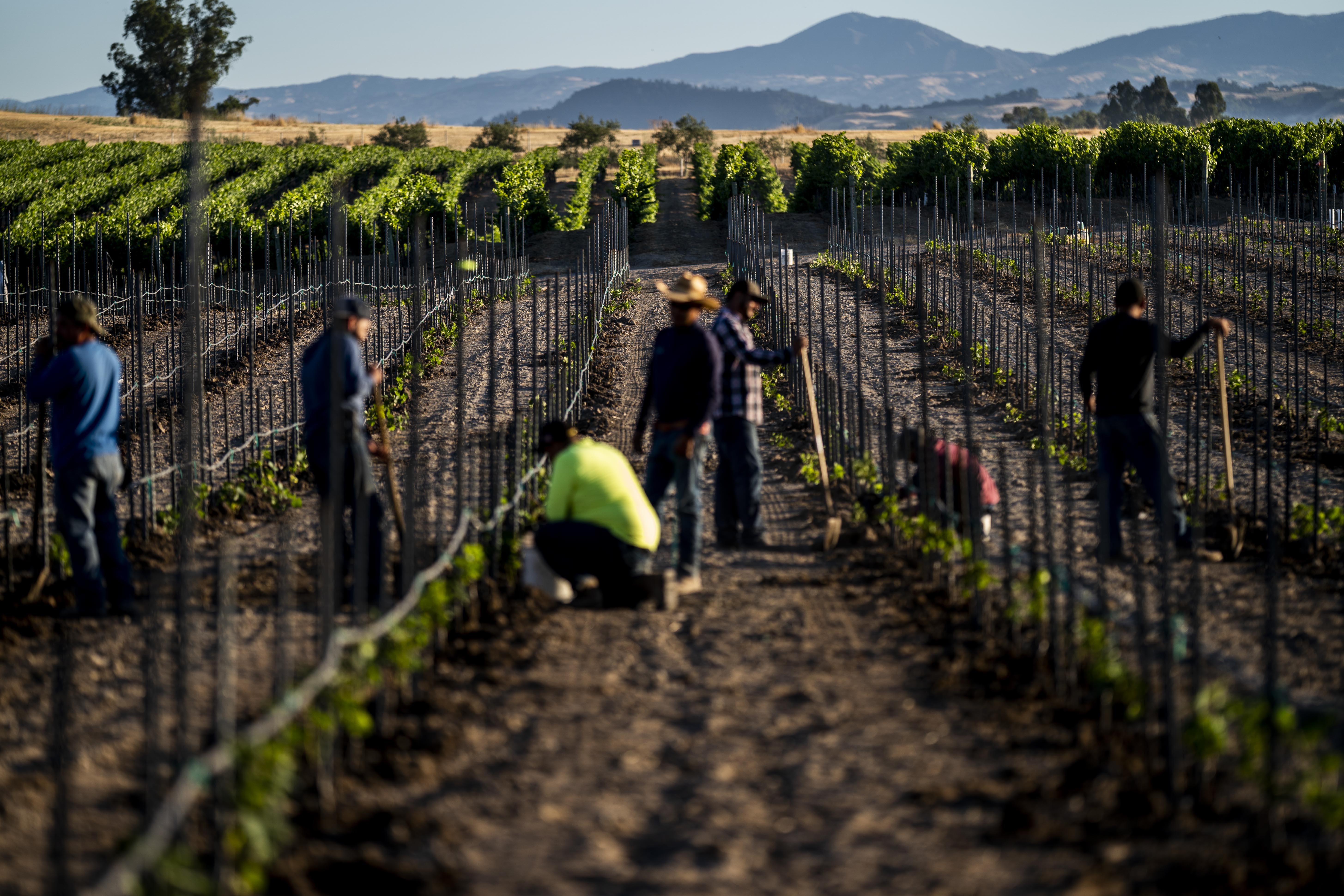 Severe heat and drought are the hallmarks of a changing West The