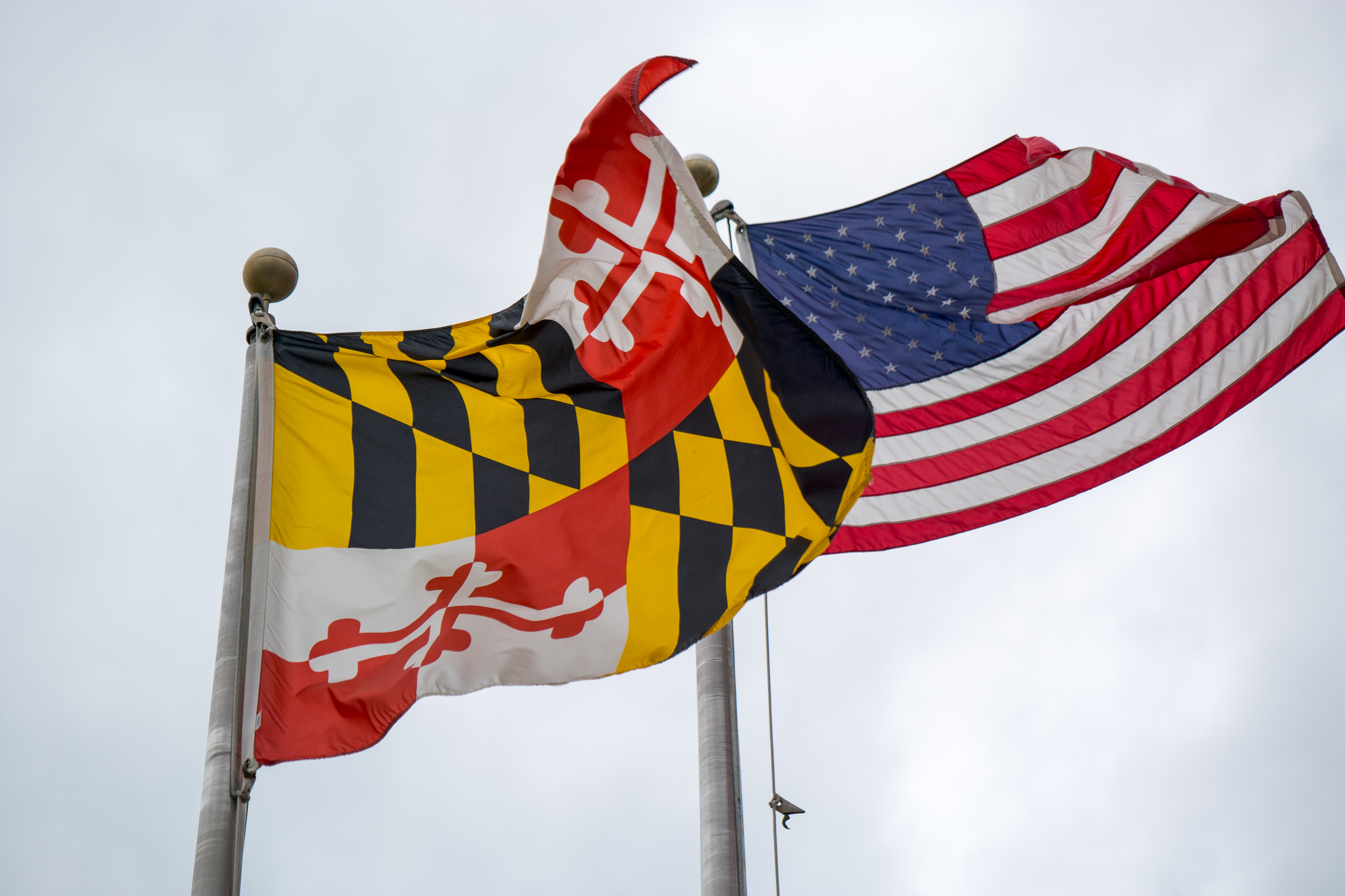 (Shedrick Pelt/For The Washington Post)