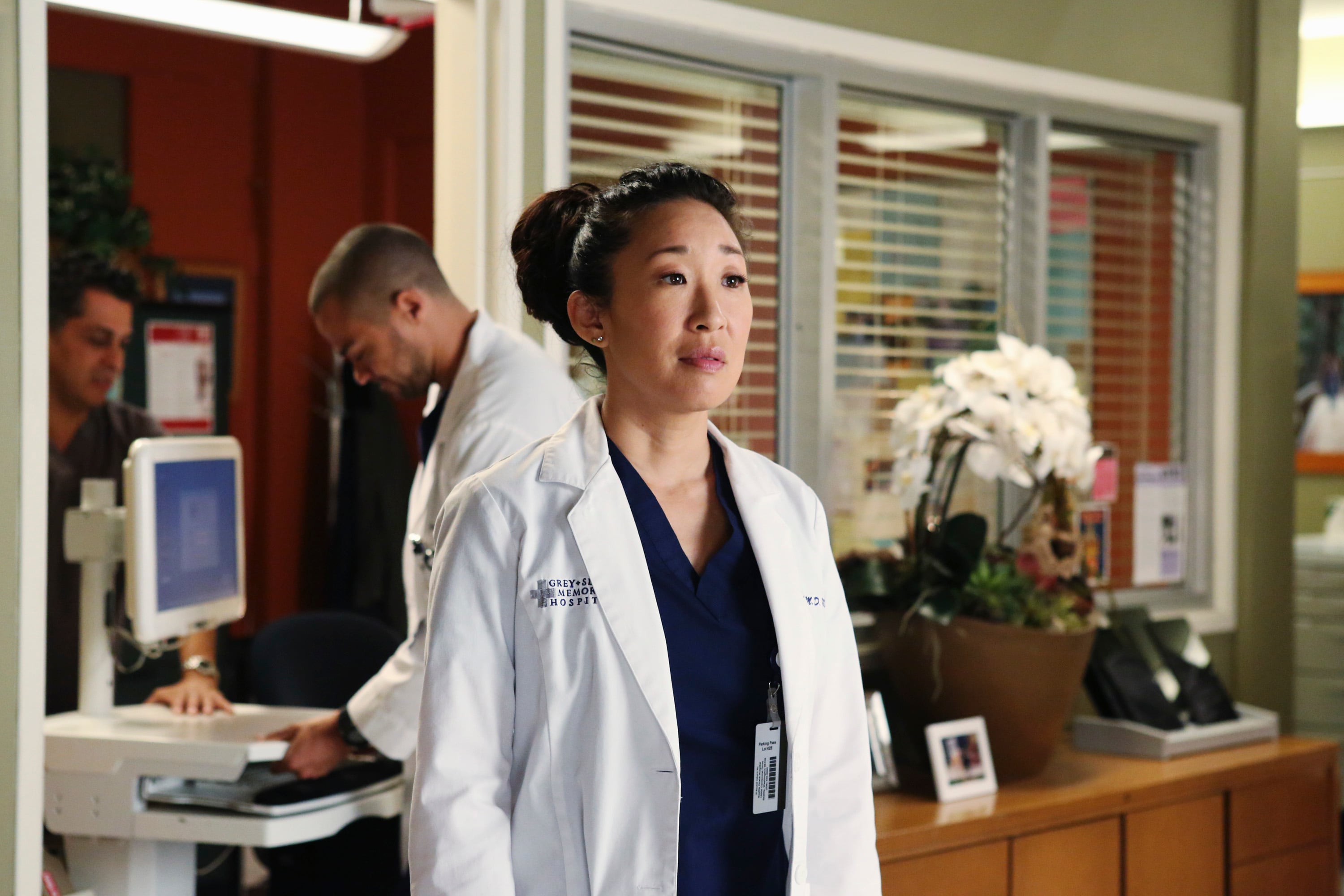 Seven things you didn't know about Sandra Oh, who played Cristina Yang on 'Grey's Anatomy' - The Washington Post
