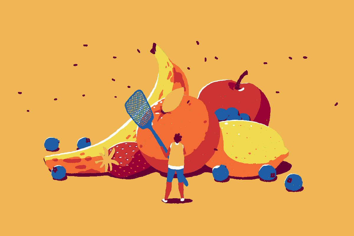 Fly Bug Animated Gif