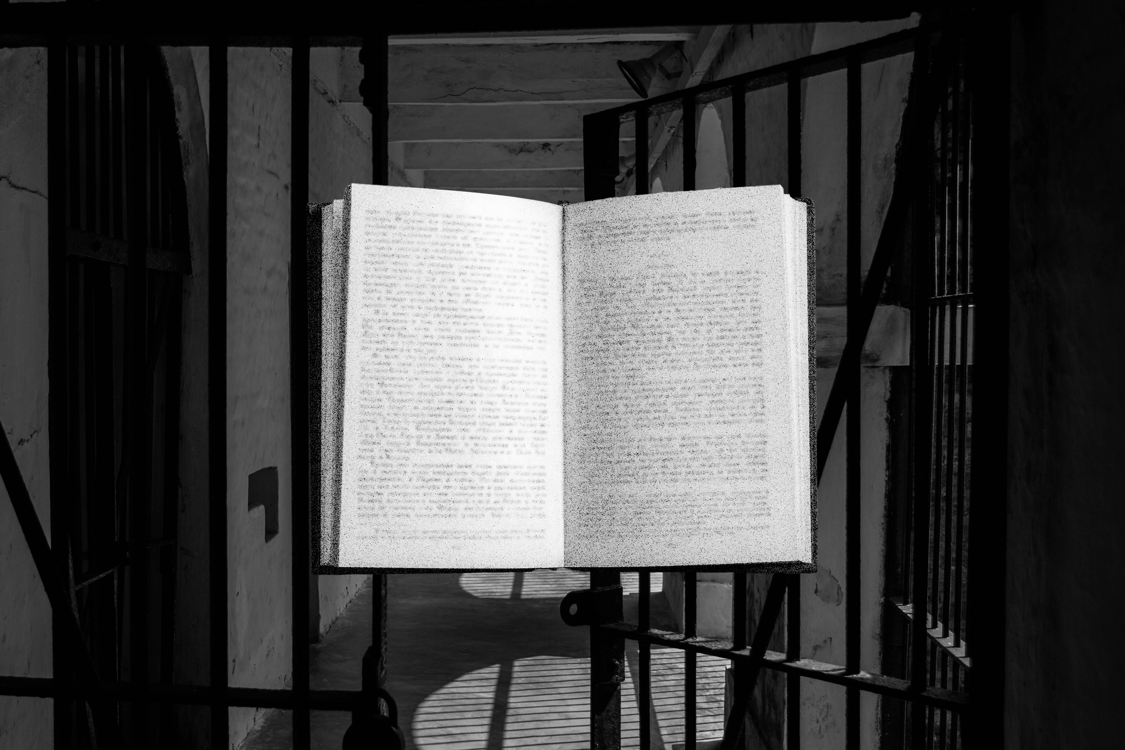 Opinion | Alexei Navalny used books to cope with prison. I can relate. - Vimarsana News
