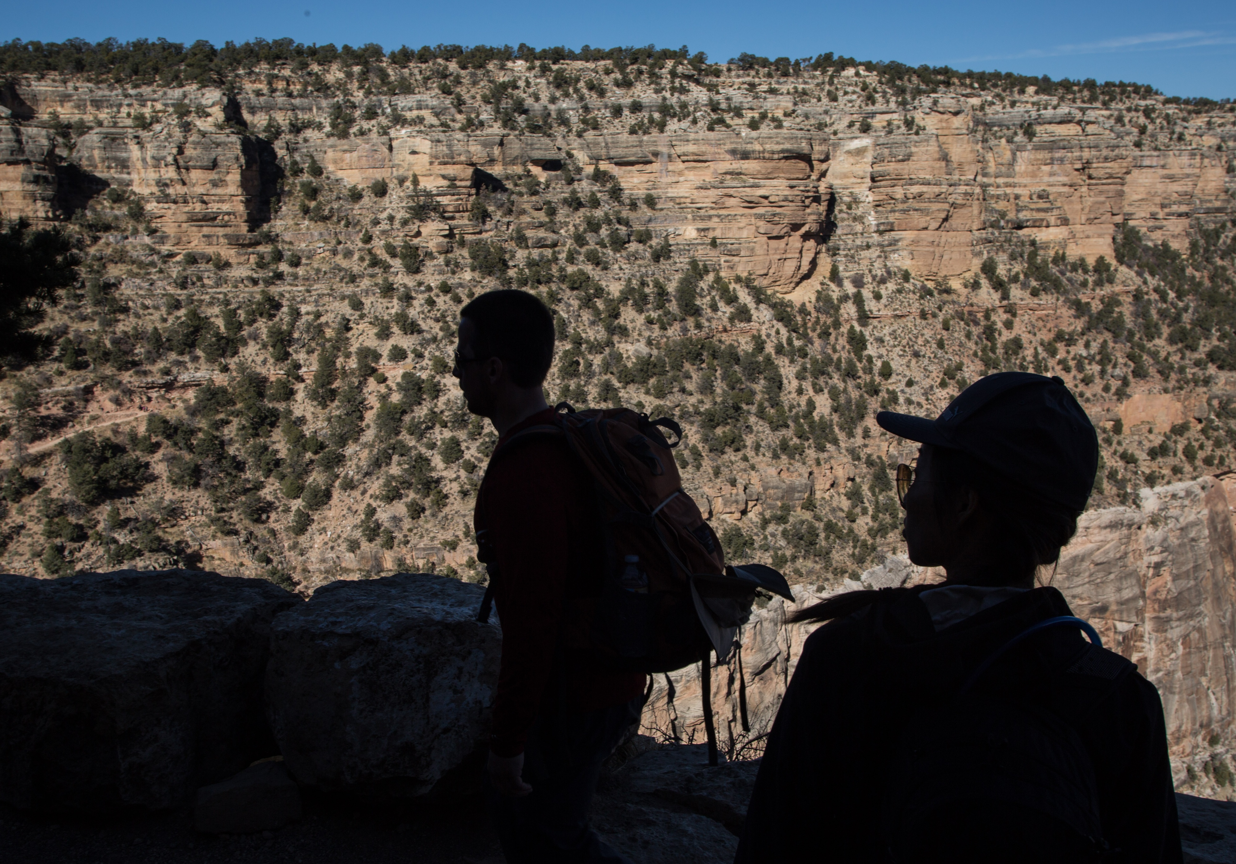 How to avoid fatal mistakes at national parks, according to a ranger - Vimarsana News