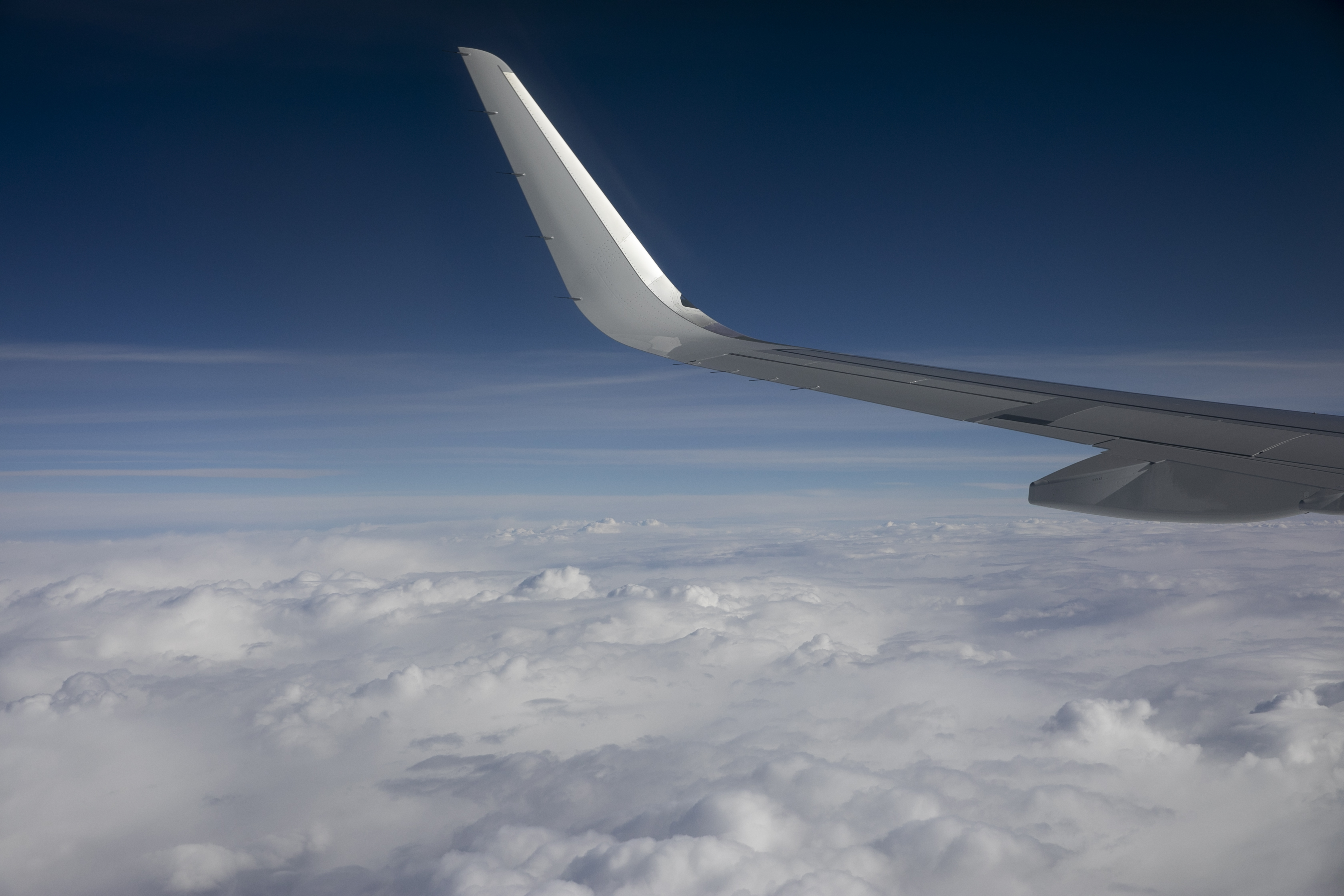 airline bolsagage fees 2021