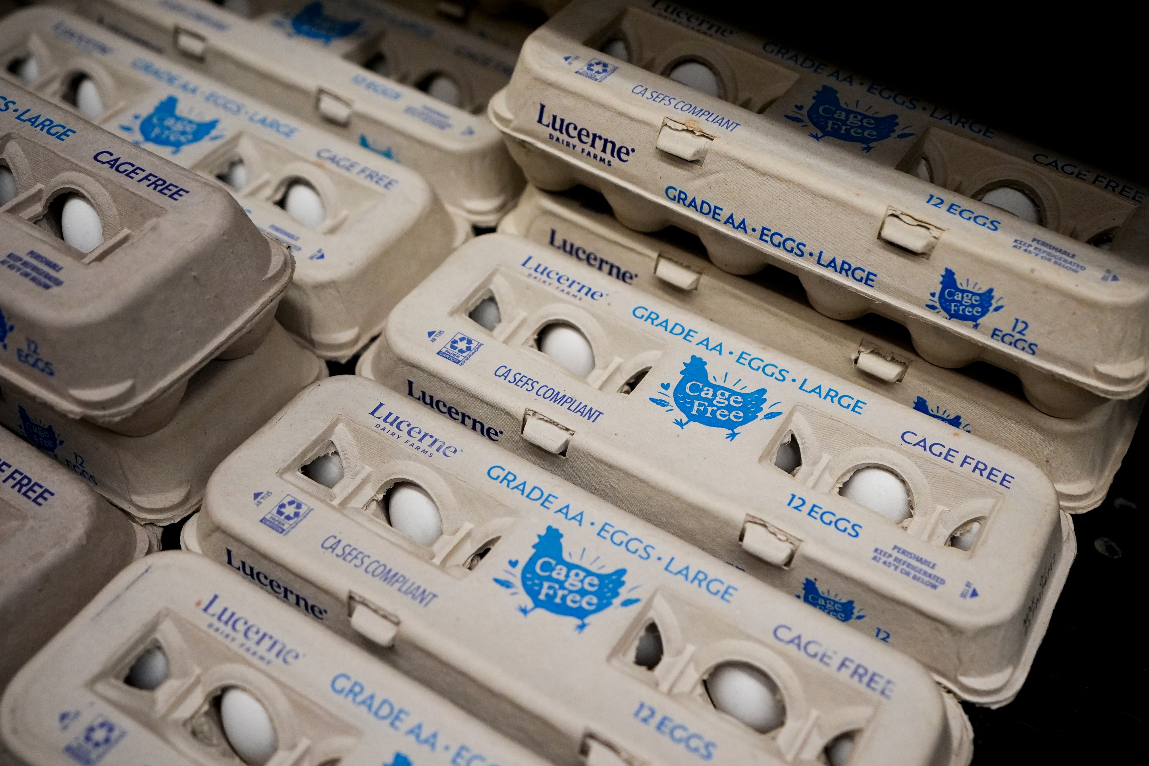 Egg cartons