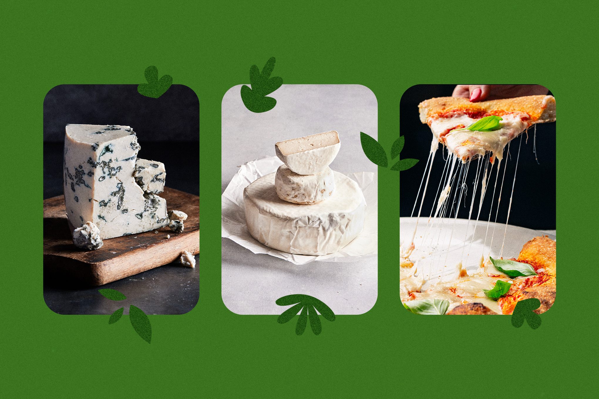 Lab-grown cheese is coming. But would you eat it?