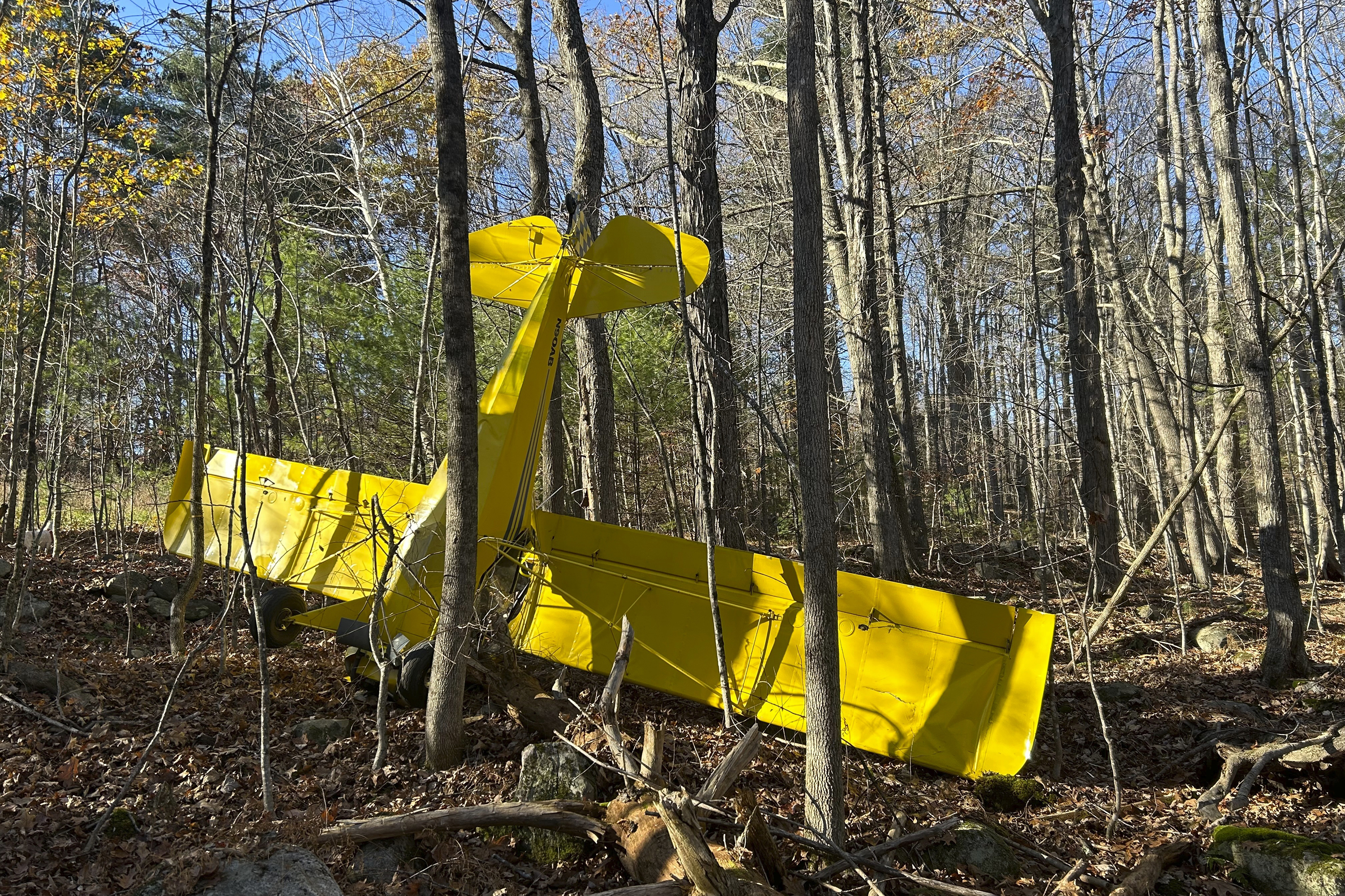 Pilot suffers minor injuries in small plane crash in southern Maine - Vimarsana News