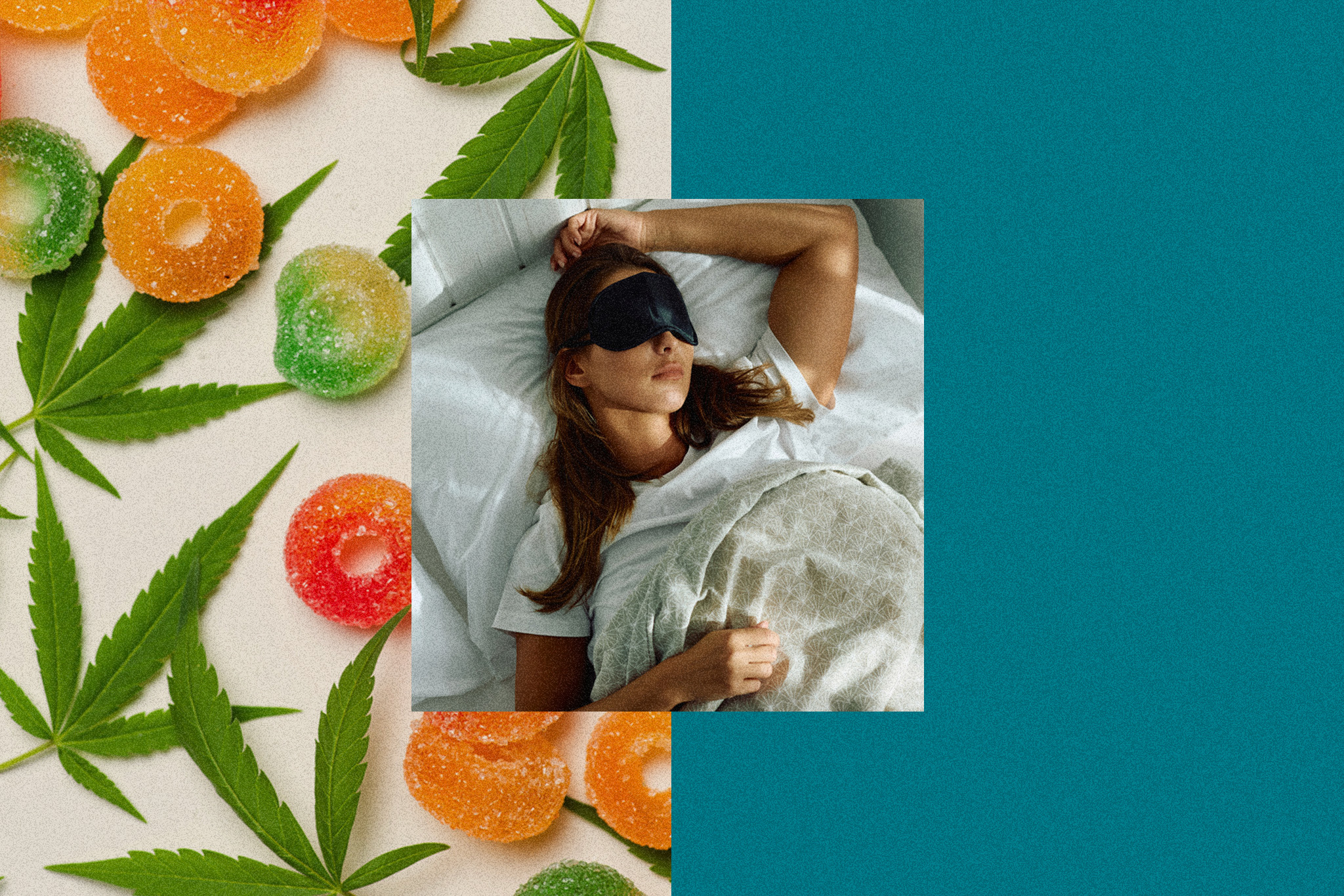 Cannabis plant image