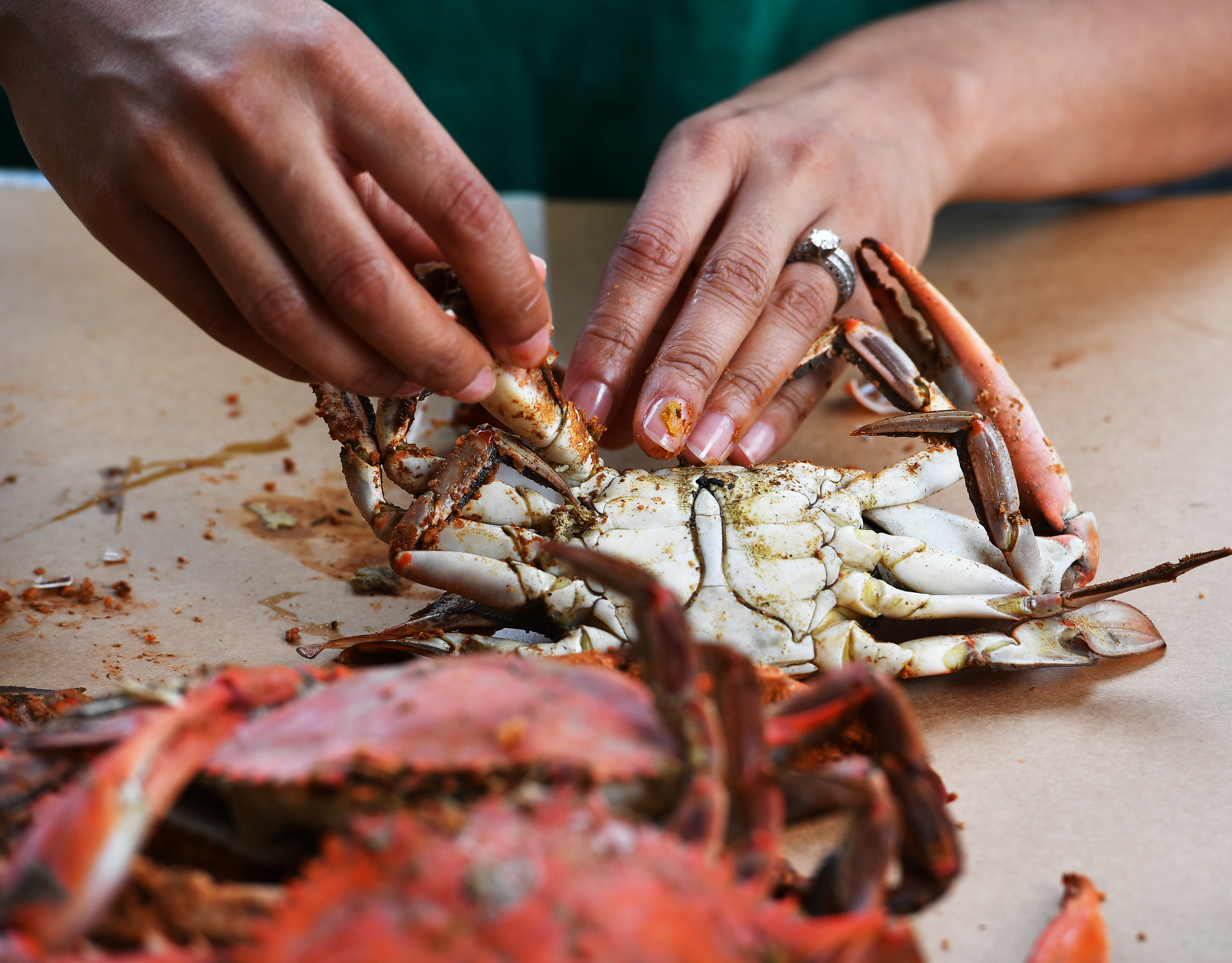 Where To Find Steamed Crabs For Takeout In The D C Area The Washington Post