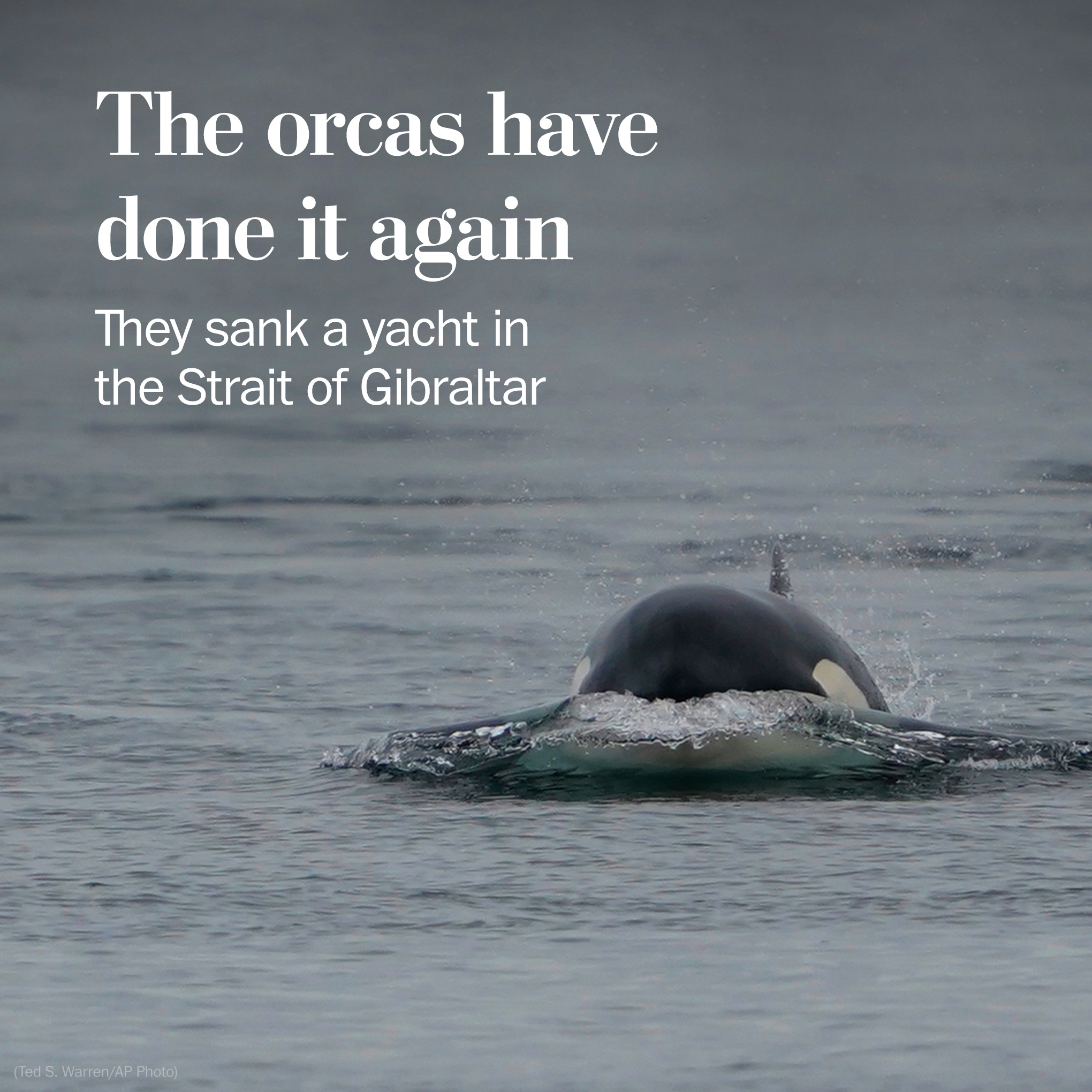 Get Yourself a Kayak and Go | Coastal Virginia Magazine, image size:2040x2040