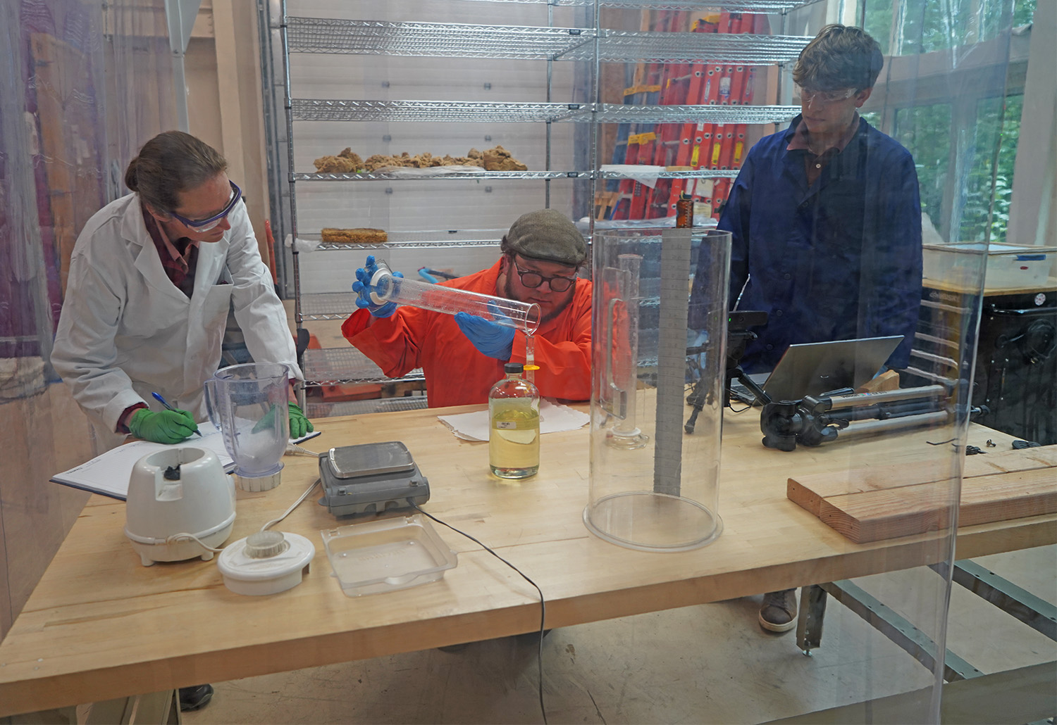 Are mushrooms the future of insulation? - The Washington Post